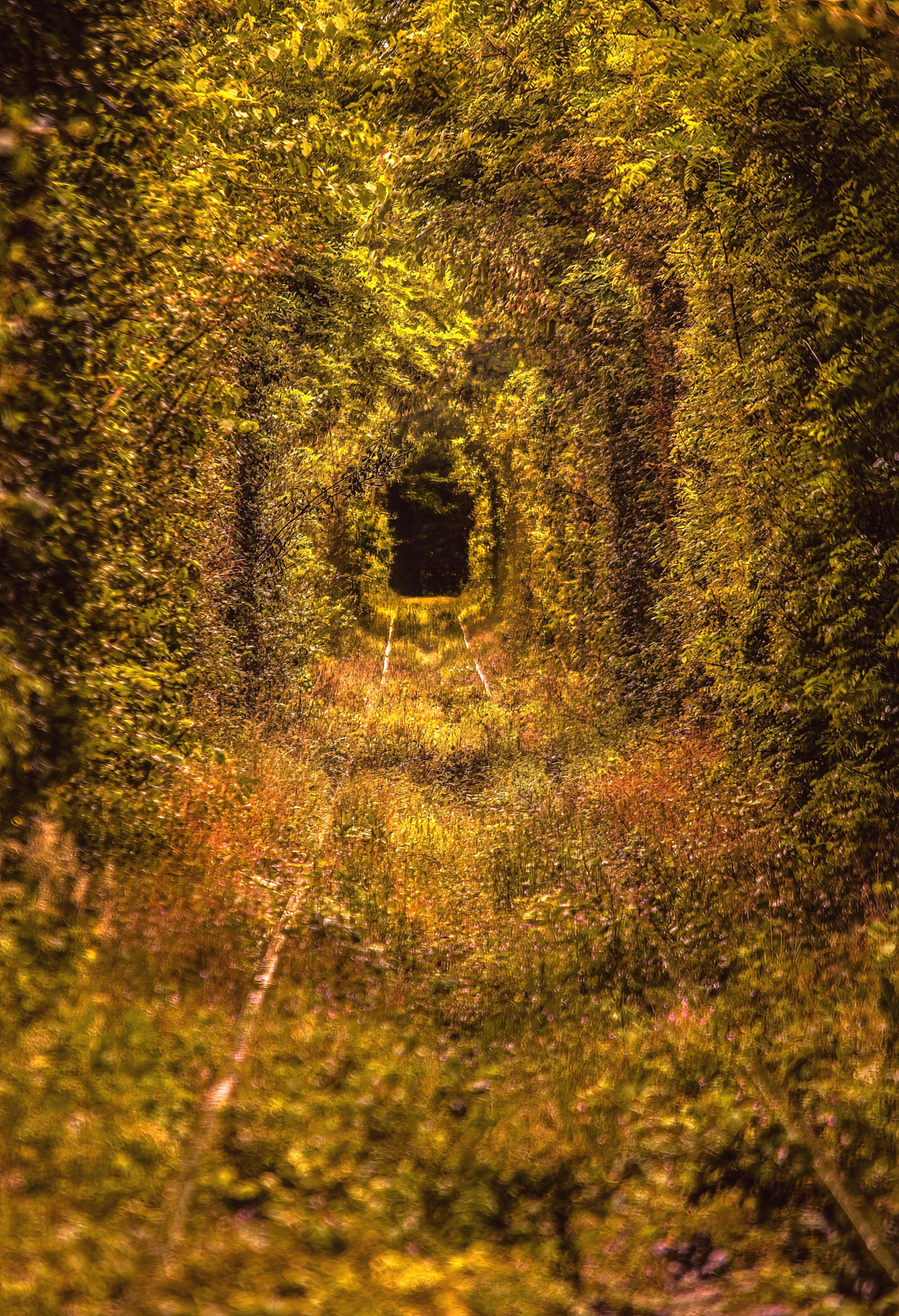 Călătorie. Daniel Hașiegan