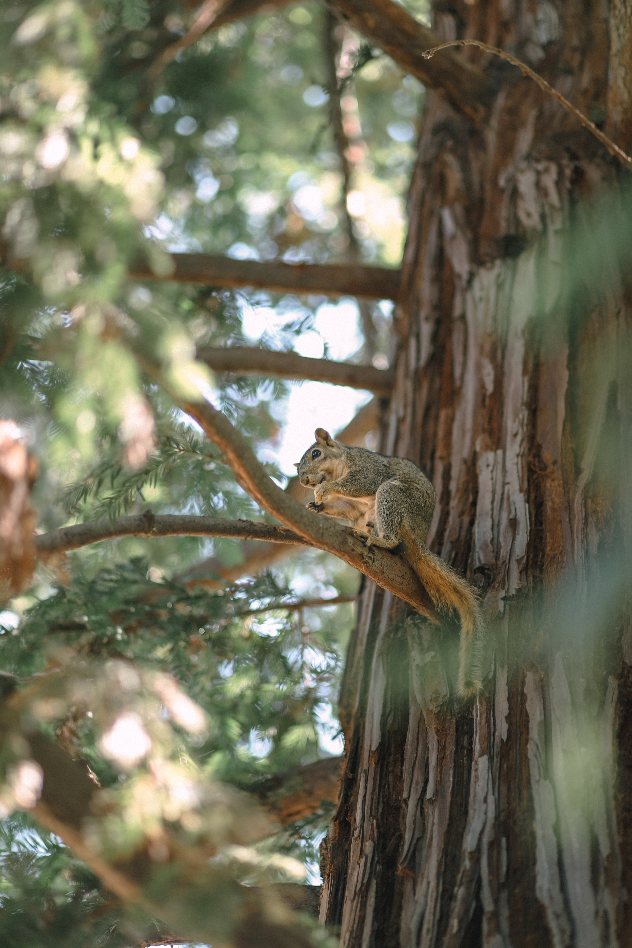 O + N + L + K + K + S. Photographer Inna Kalmykova