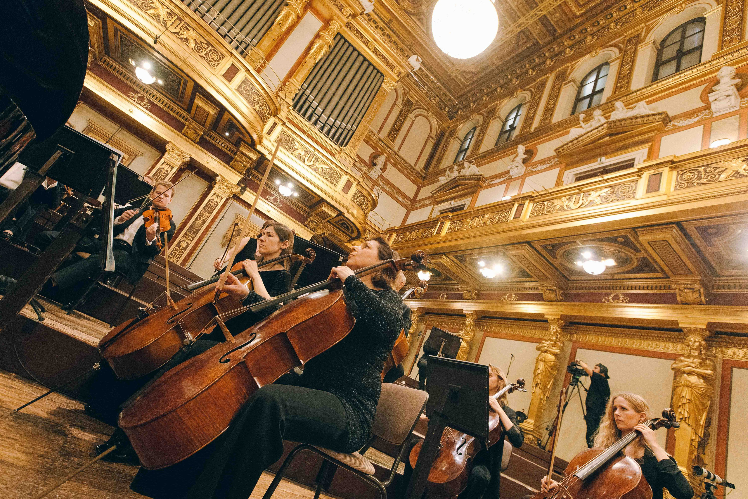 MUSIKVEREIN (VIENNA). Wedding&Event photographer Ismail Rzayev in Baku