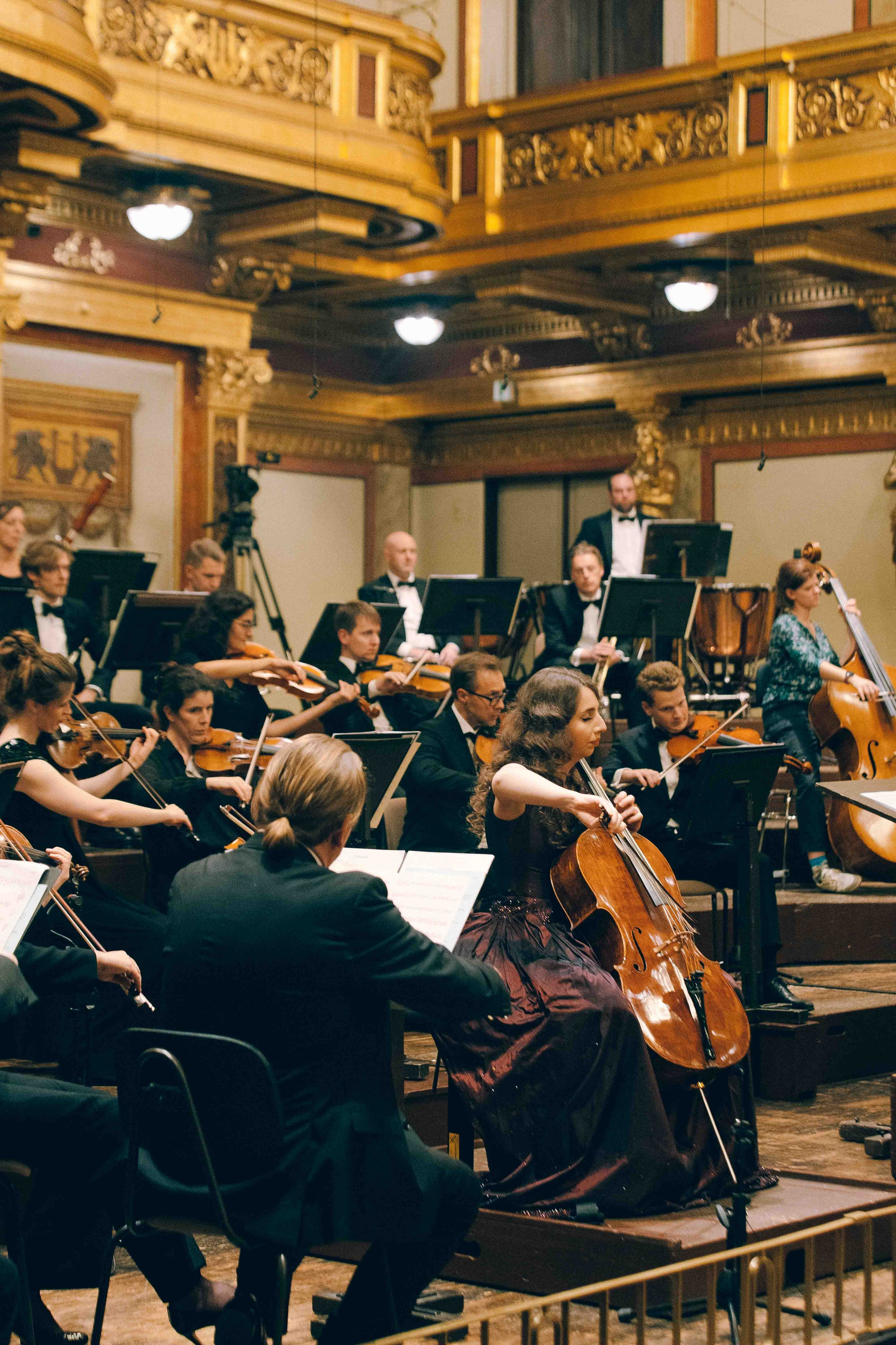MUSIKVEREIN (VIENNA). Wedding&Event photographer Ismail Rzayev in Baku