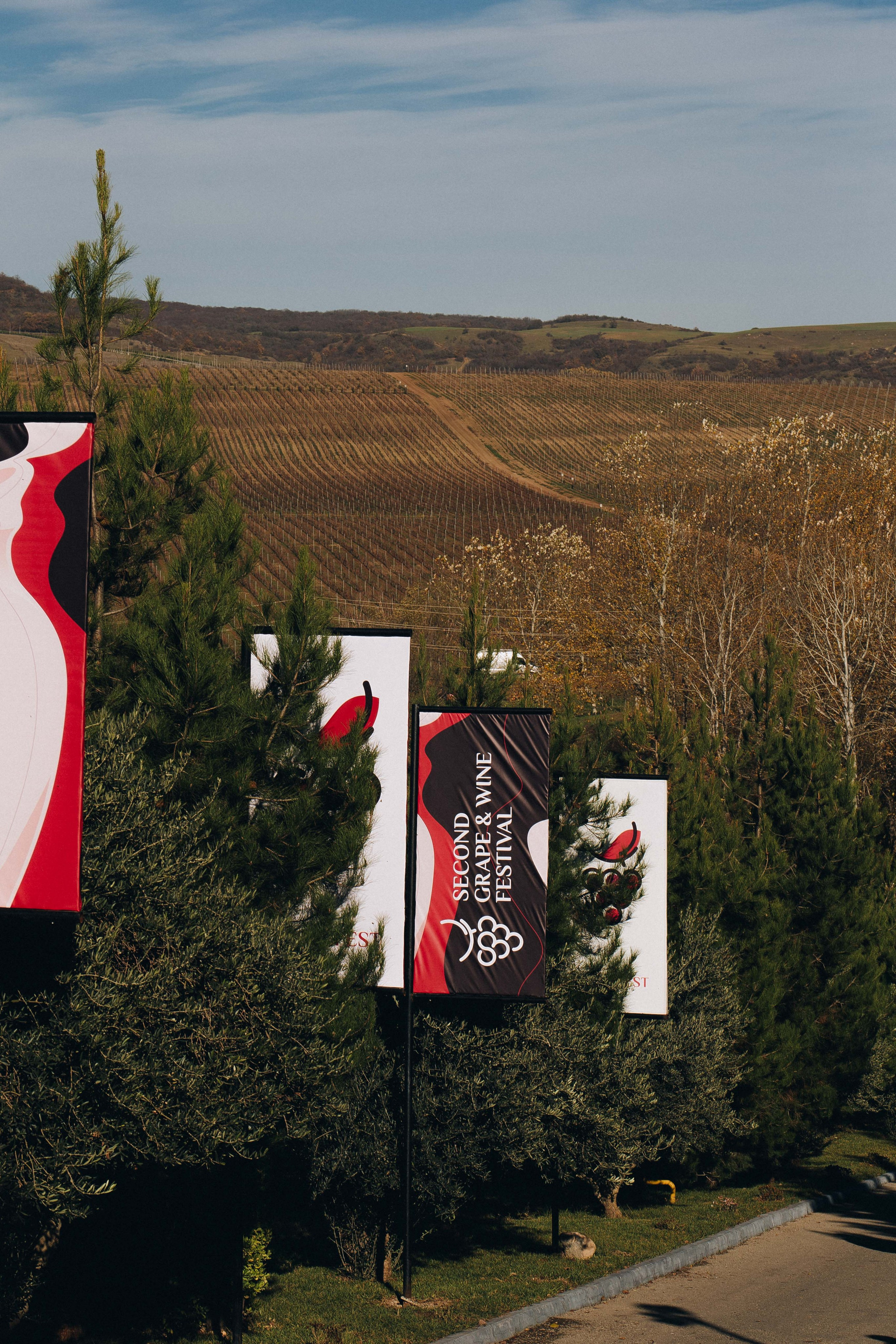 MEYSARI WINE FESTIVAL. Wedding&Event photographer Ismail Rzayev in Baku