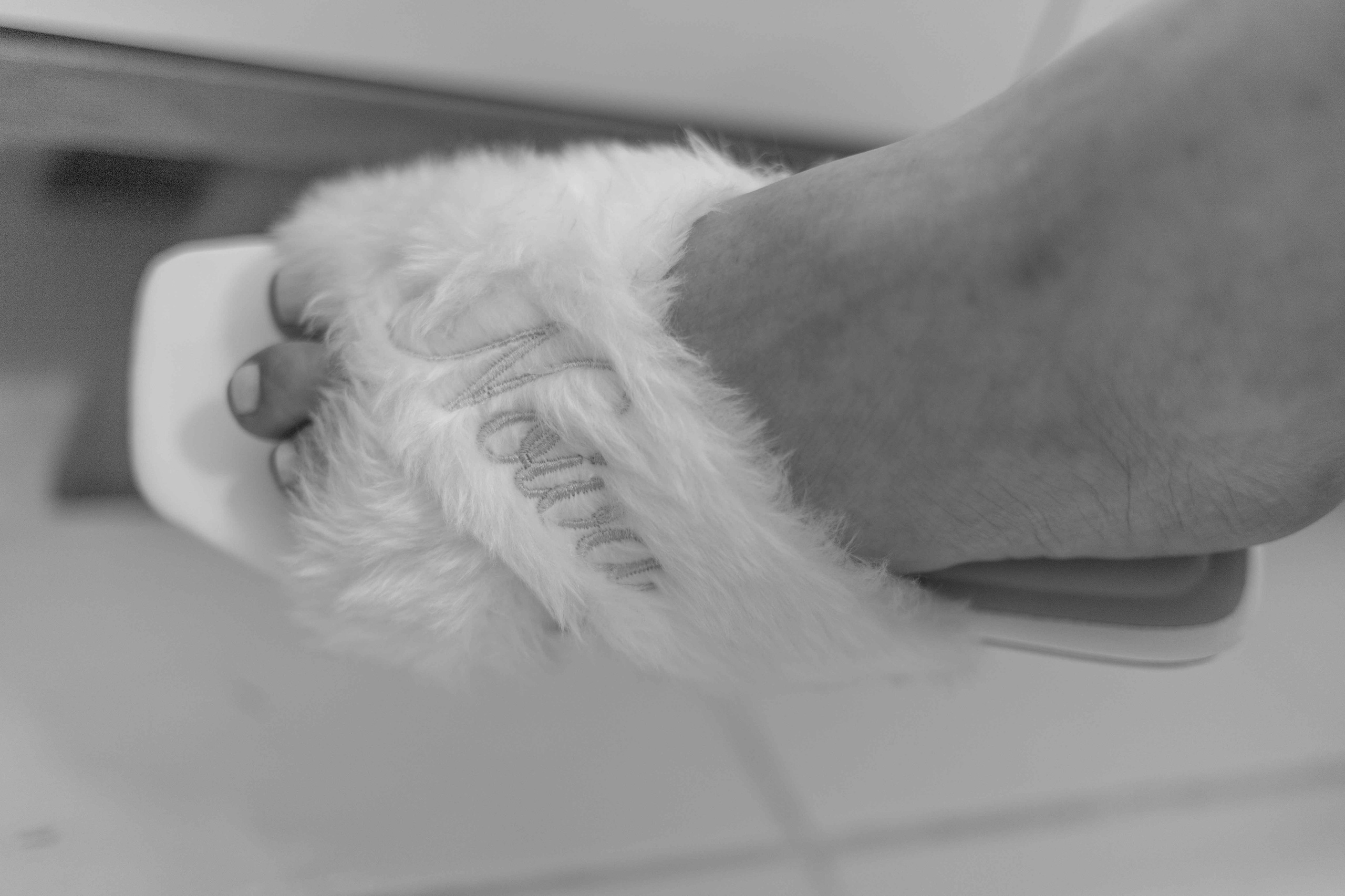 Valeria e Ramon. Bem-vindo ao Meu Mundo Fotográfico