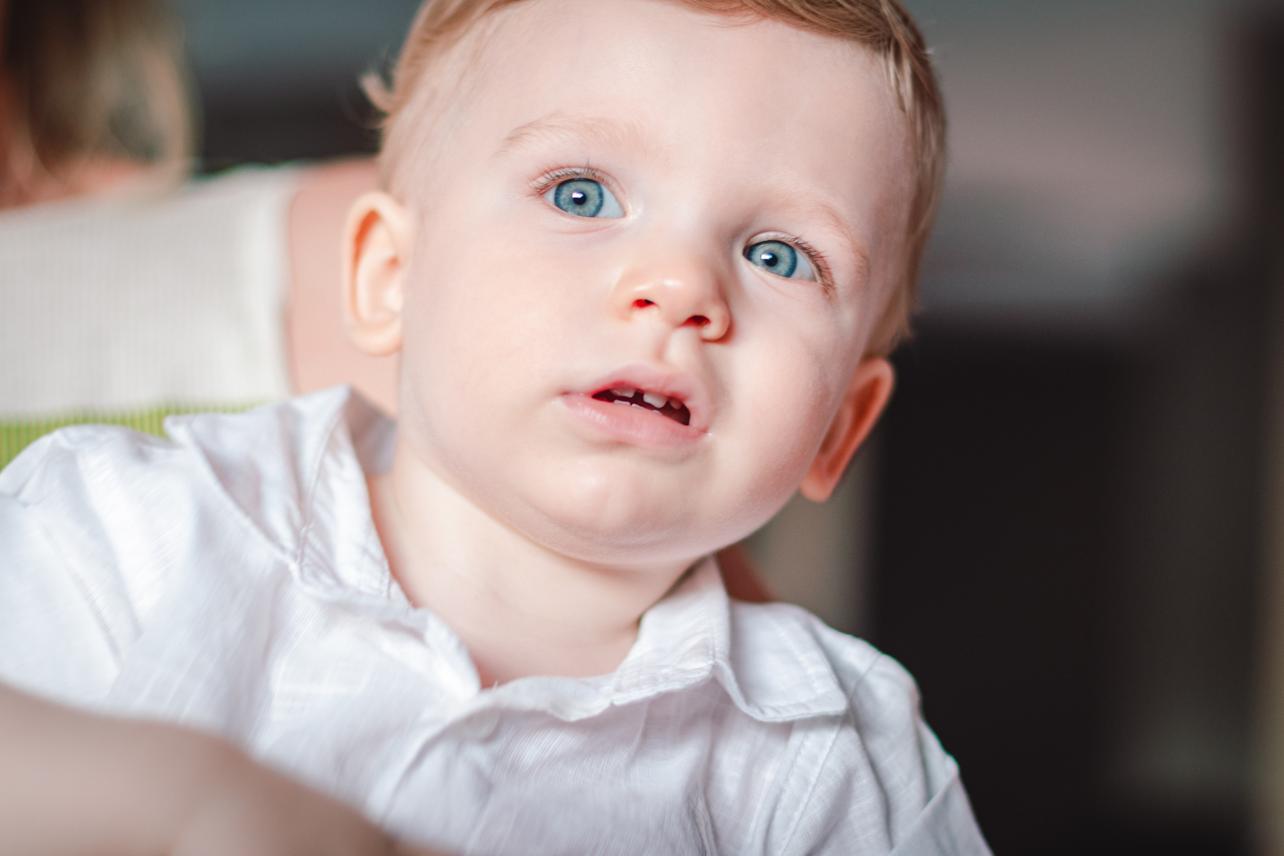 Theo — Aniversário 1 ano. Principal