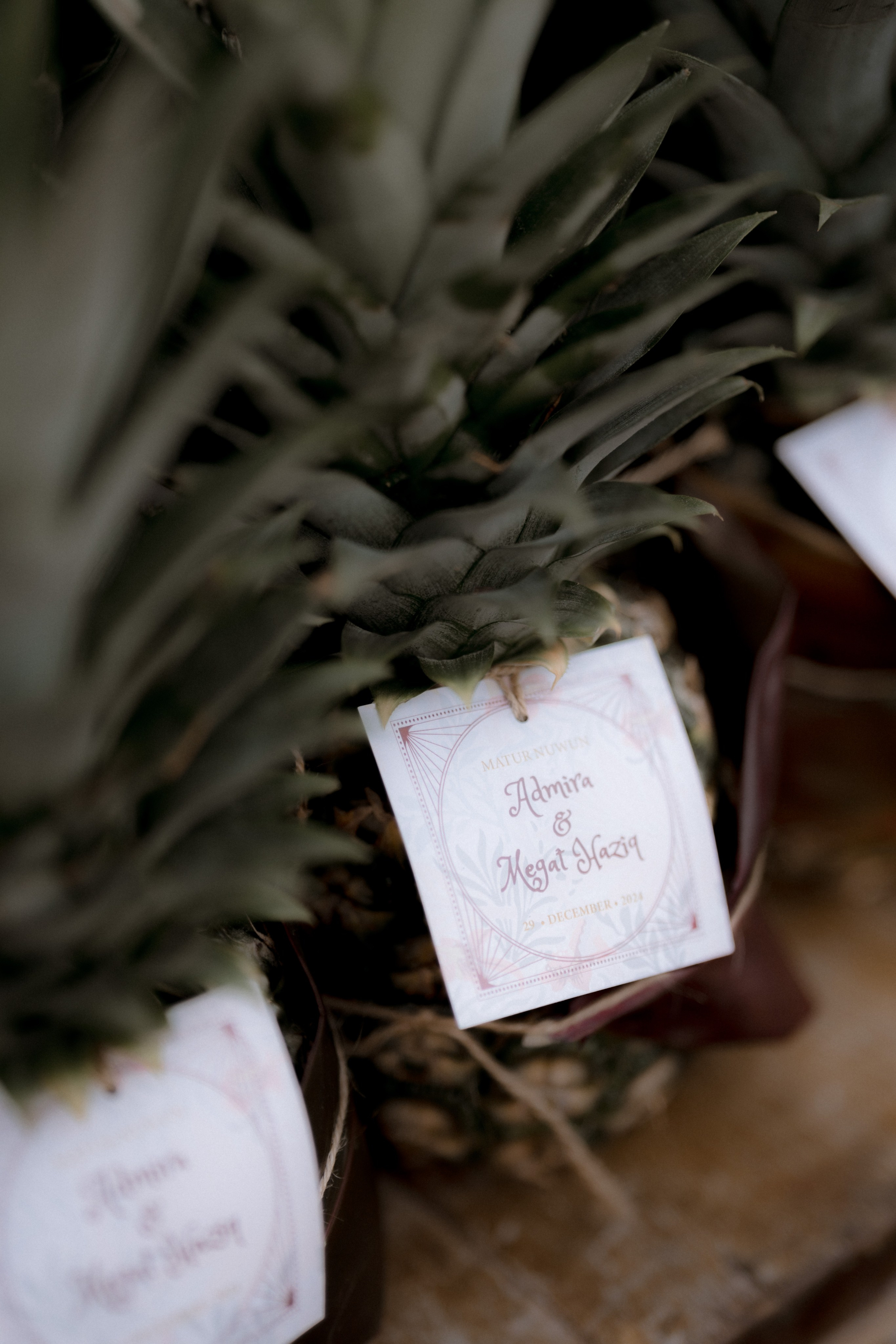 MEGAT & AMIRA. Visualdiaries photography