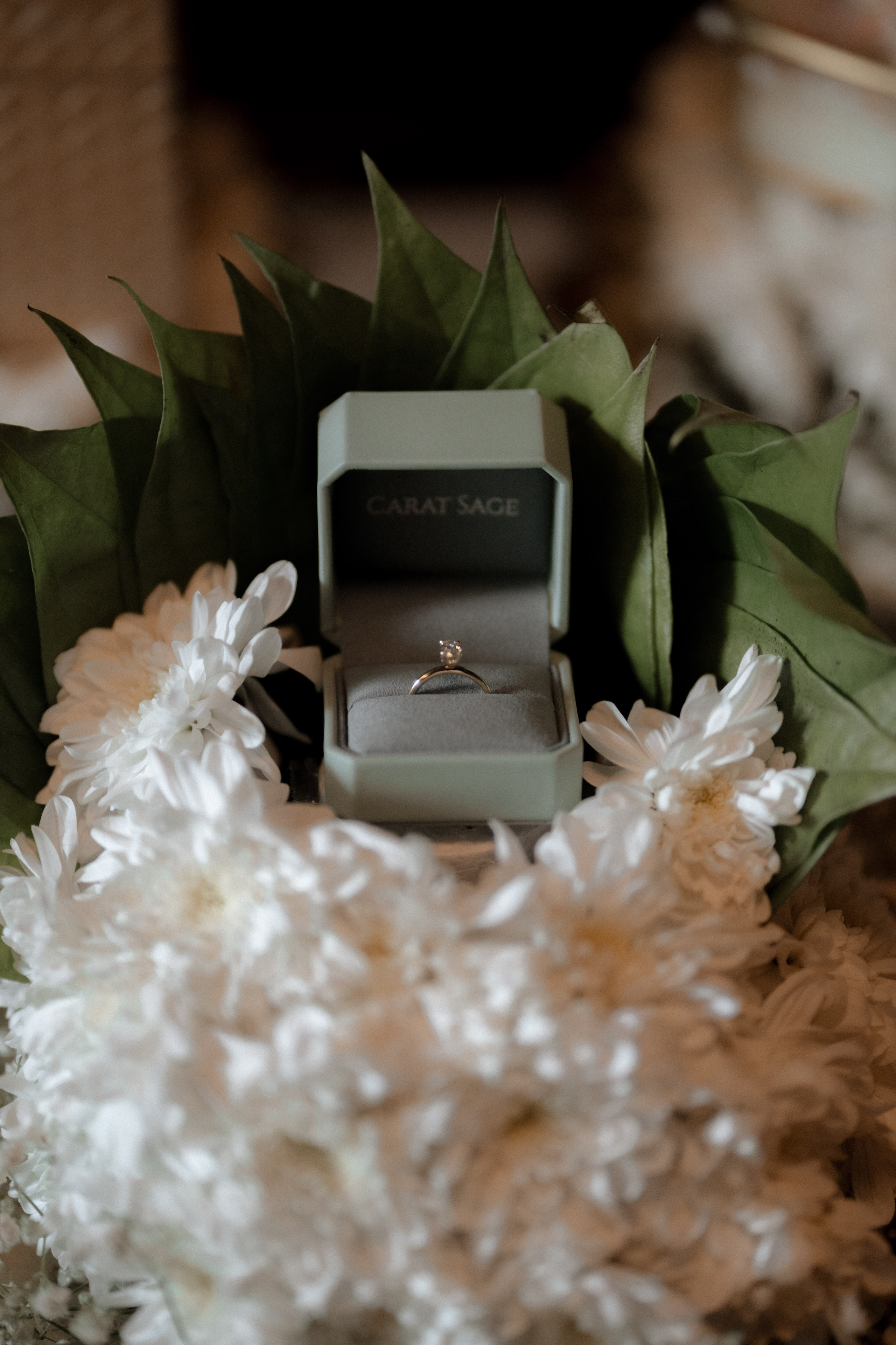 AZALEA & AMAR. Visualdiaries photography