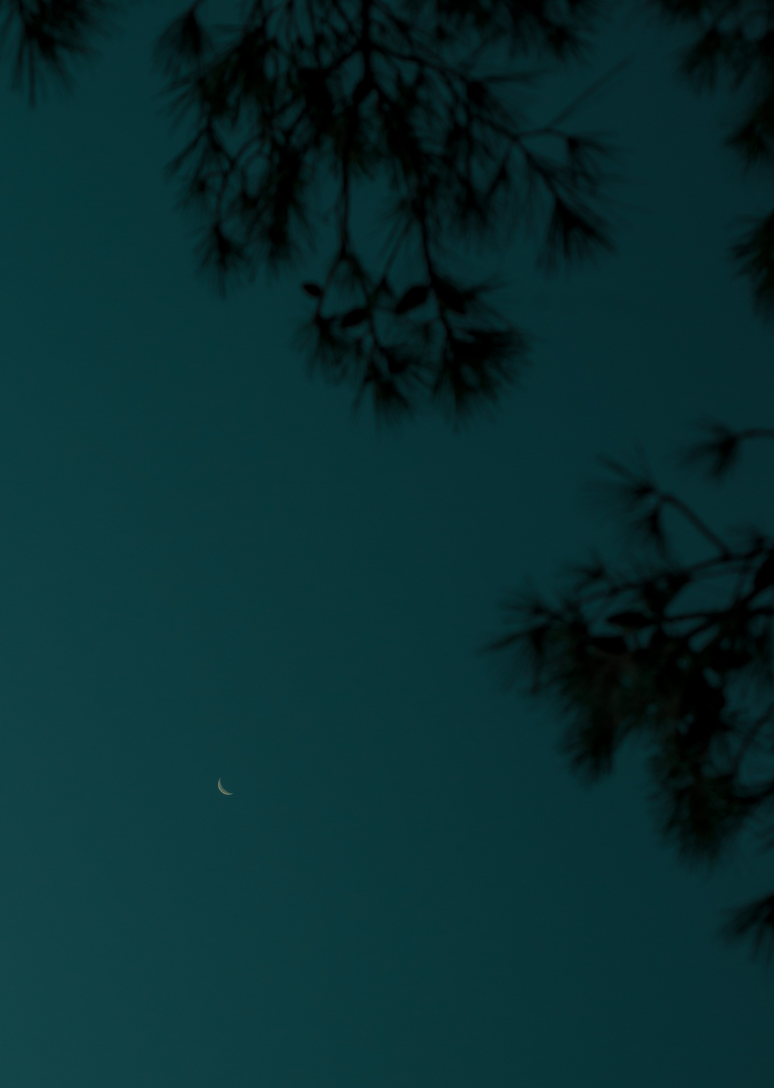 Turkey, Alanya. Art Photographer