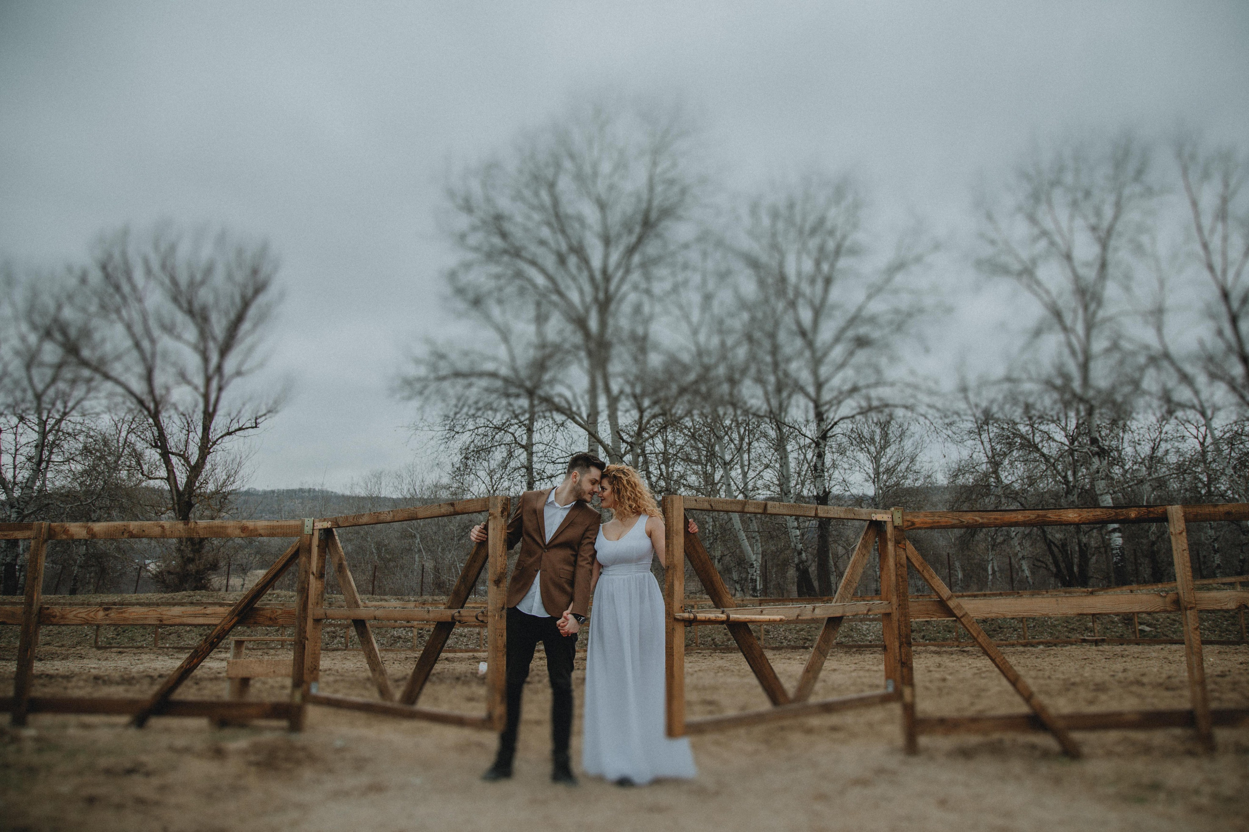 Mihaela + Ionut. Hornetart