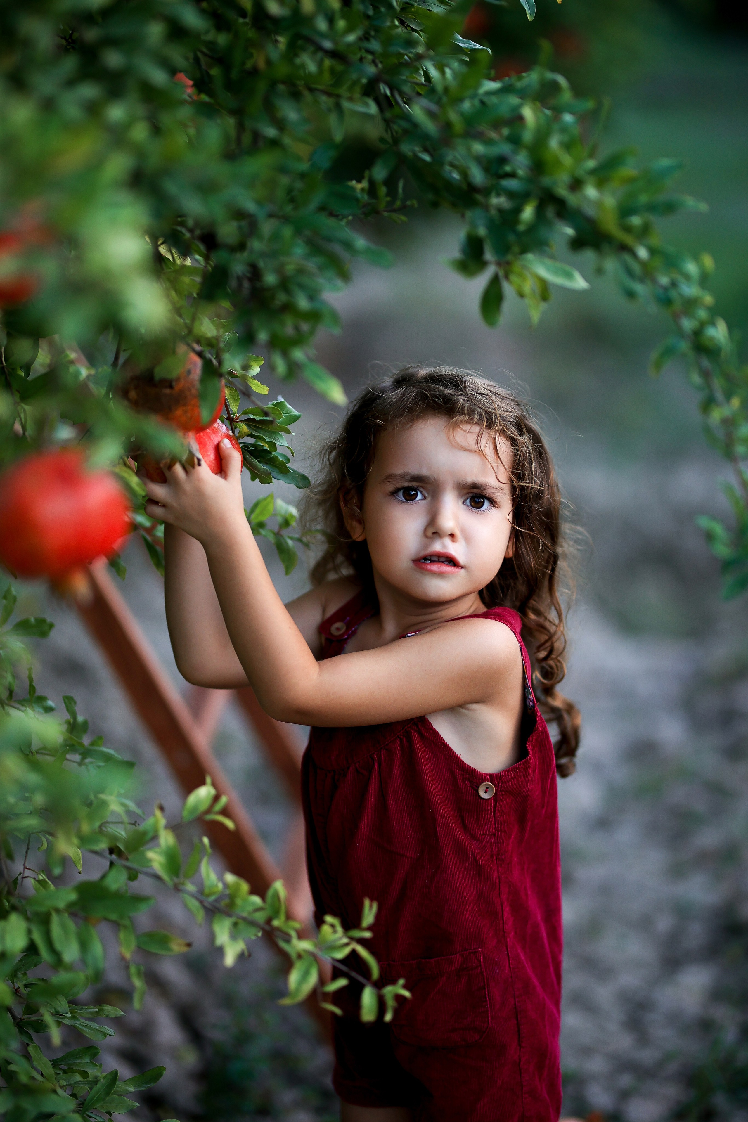 Photoshooting in pomegranate garden. Photographer in Turkey, Antalya, Kemer, Belek, Side, Kas, Fethiye