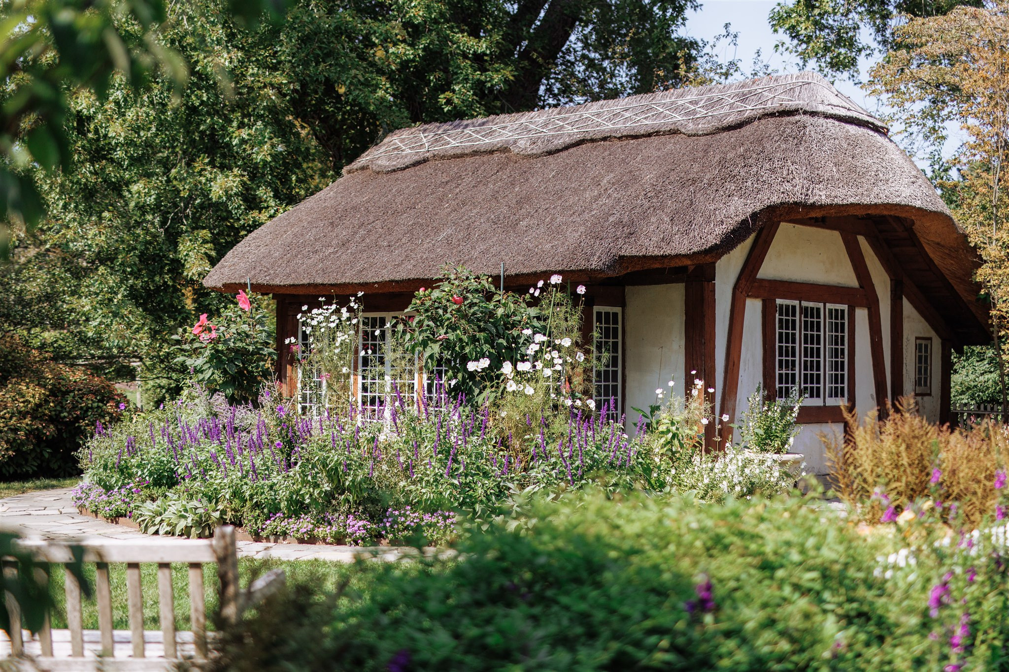 Classic Pakistani wedding. Wedding Photo & Video