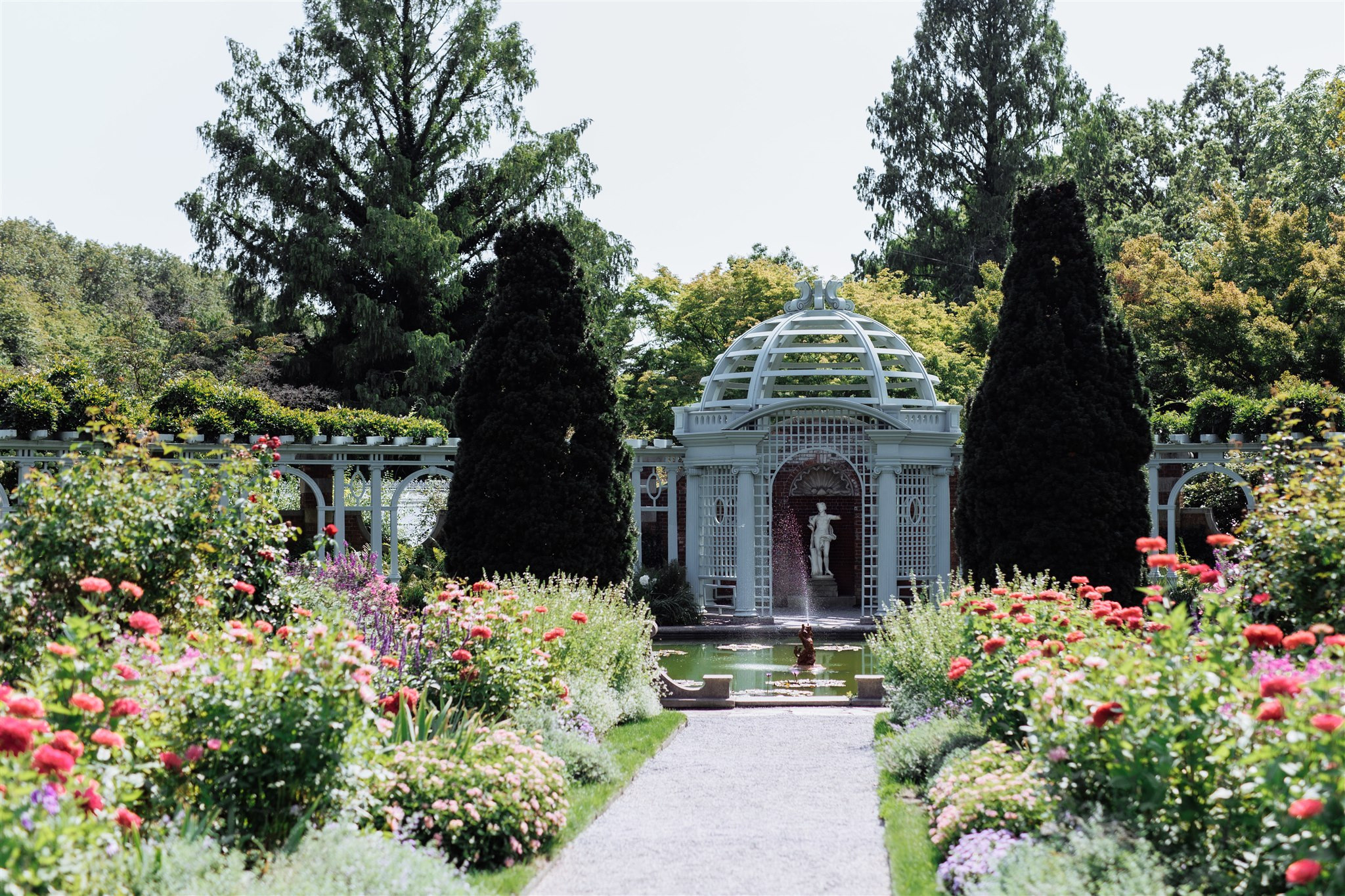 Classic Pakistani wedding. Wedding Photo & Video