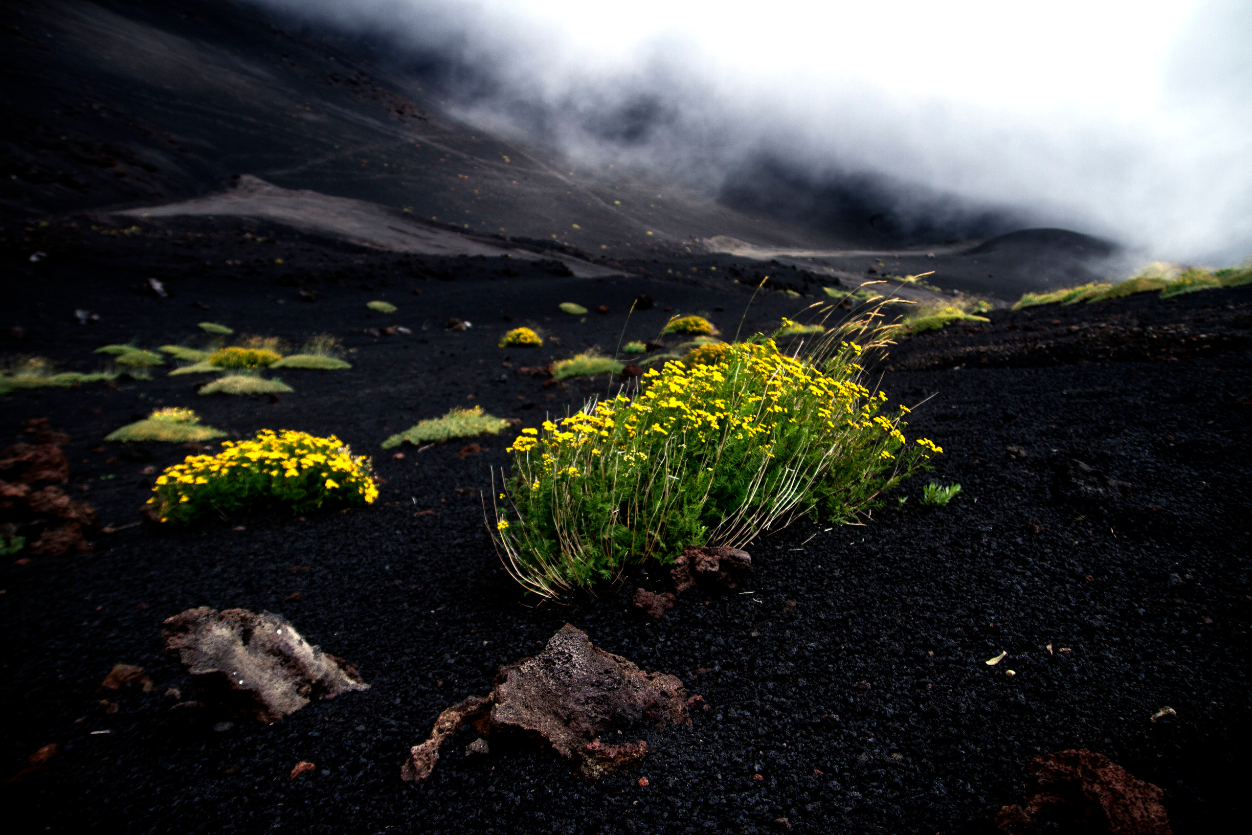 My travels. Alexandra Grevtseva — Art-photographer in Germany