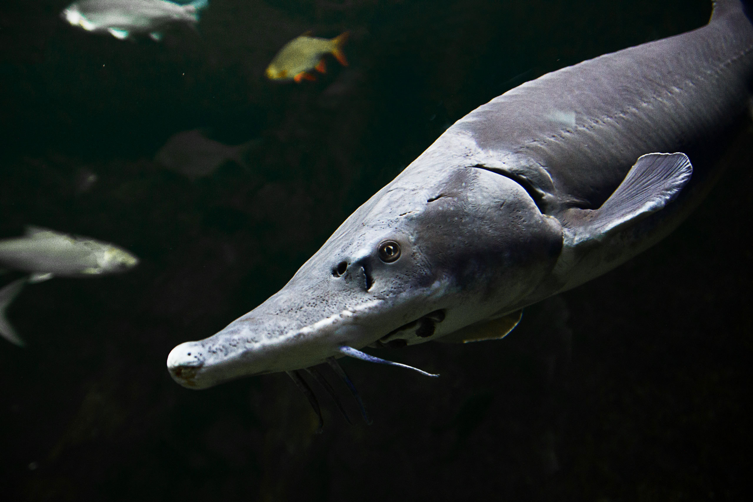 My travels. Alexandra Grevtseva — Art-photographer in Germany