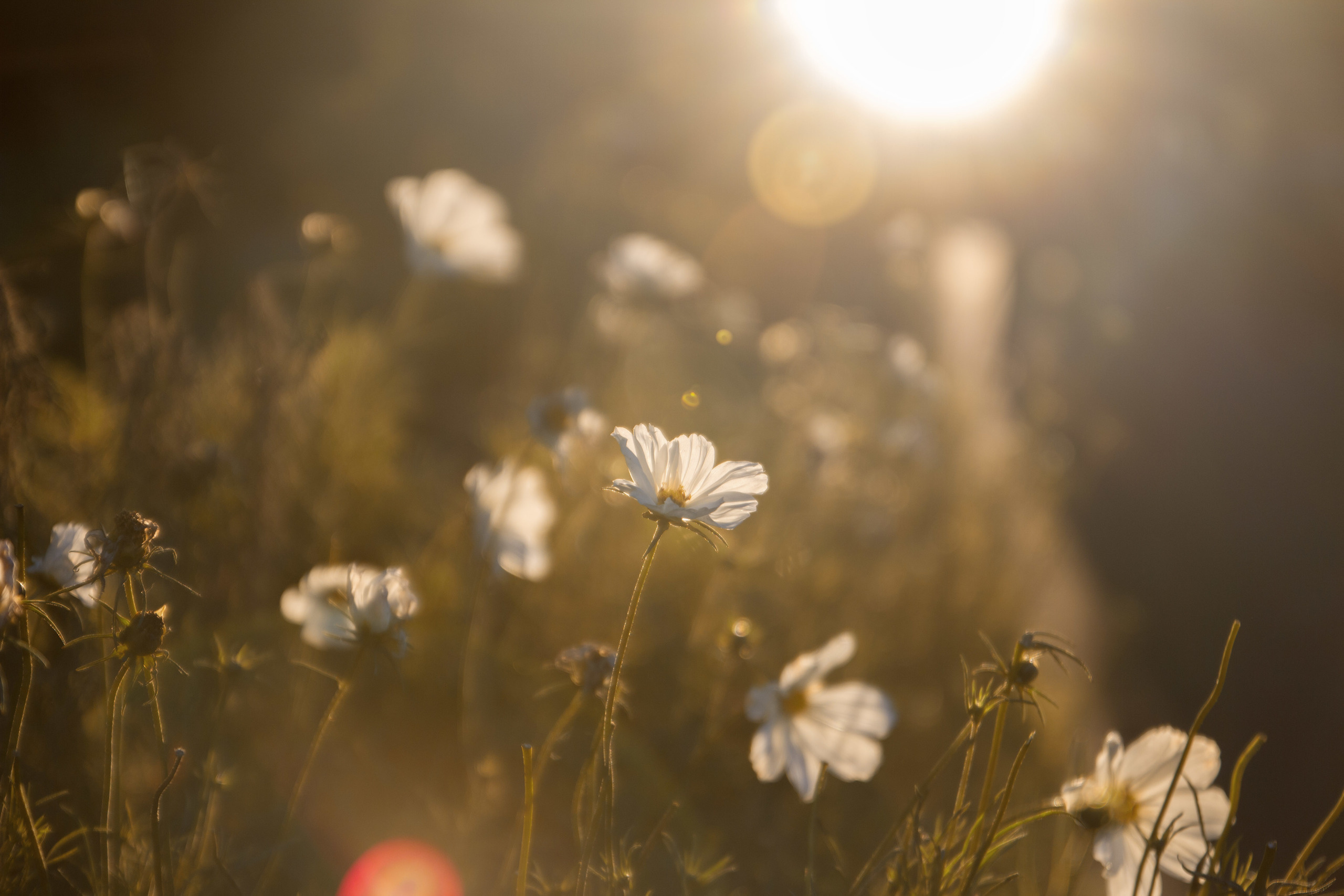 My travels. Alexandra Grevtseva — Art-photographer in Germany