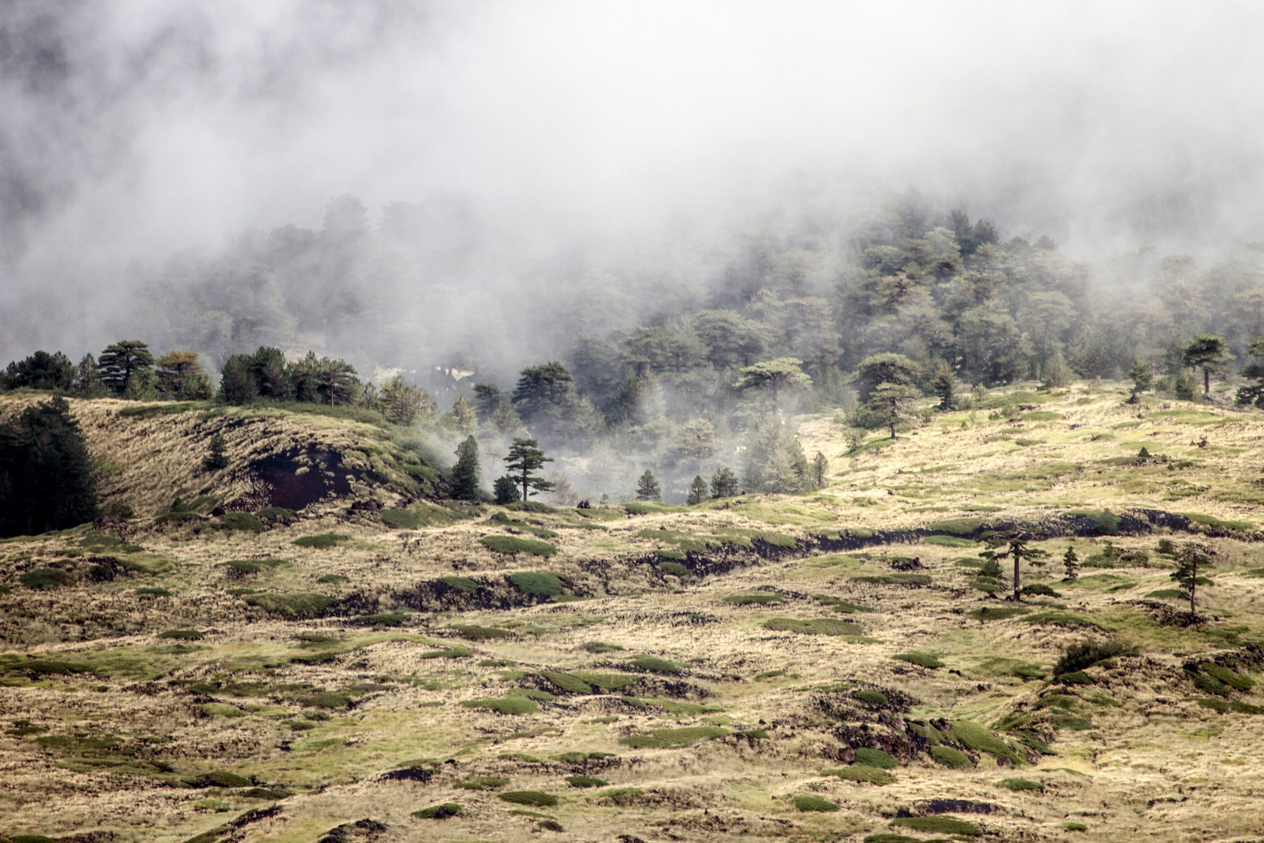 My travels. Alexandra Grevtseva — Art-photographer in Germany