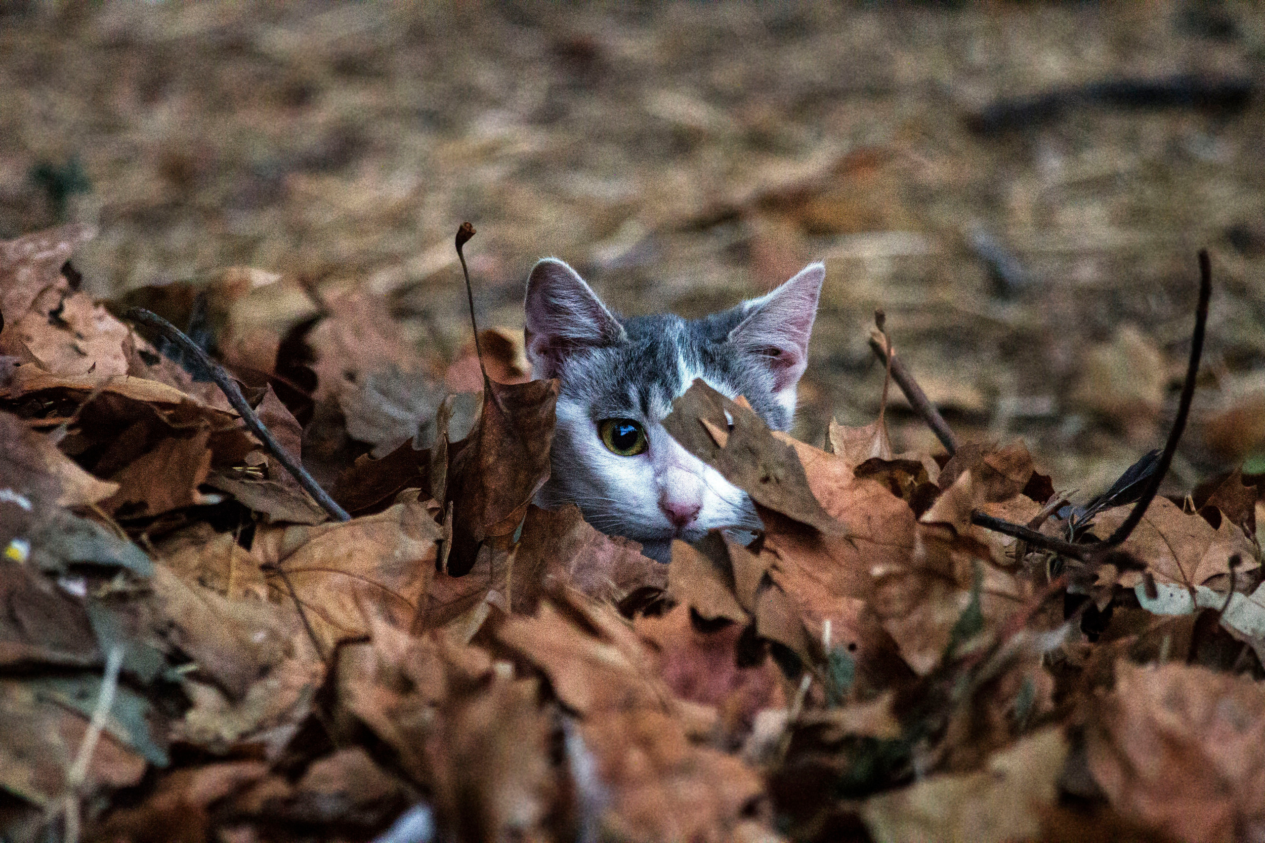 My travels. Alexandra Grevtseva — Art-photographer in Germany