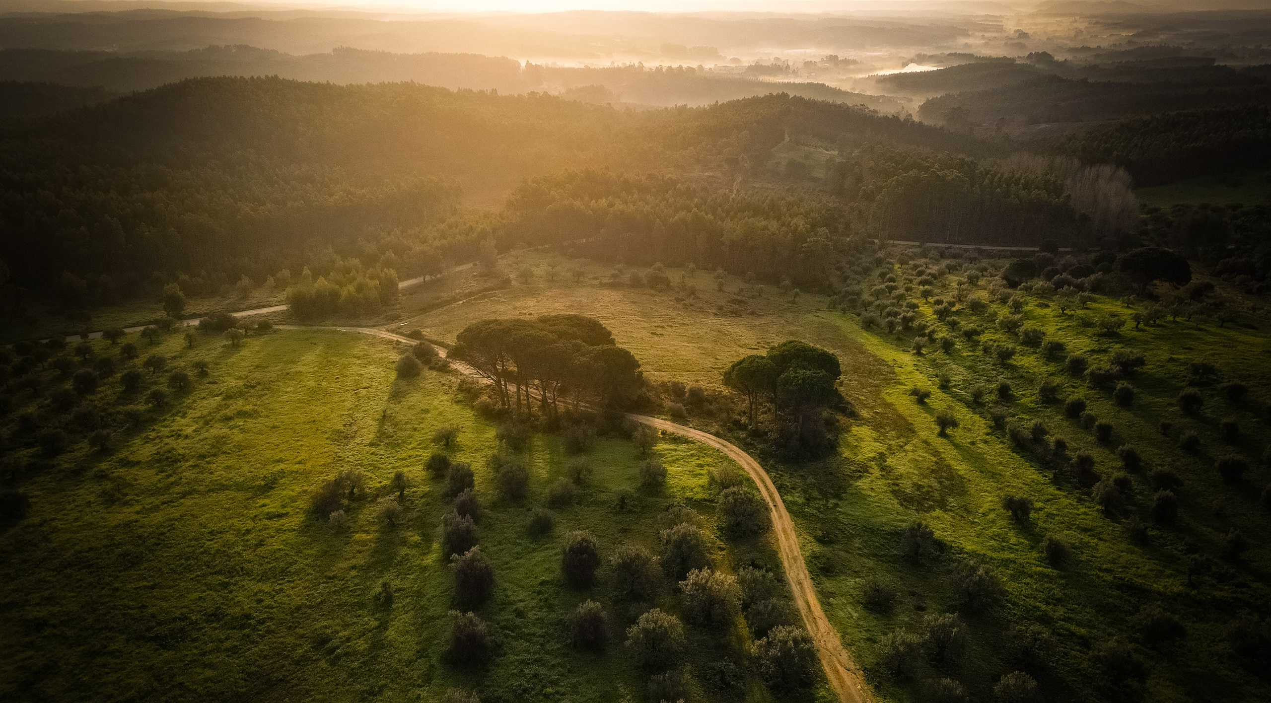 Fotografia de Natureza – Portfólio | Paulo Marques Photography. Paulo Marques Photography