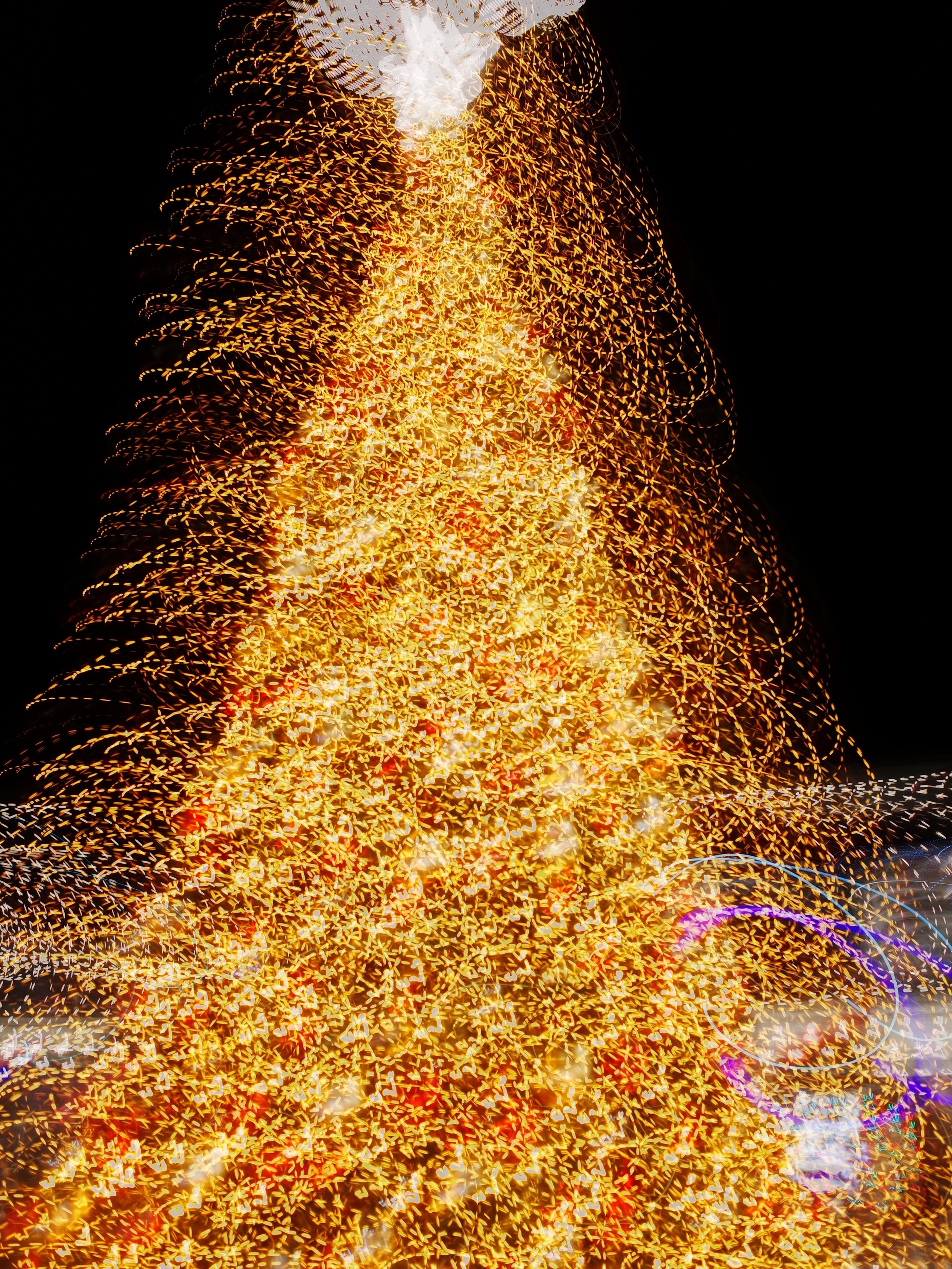 Victoria Dini. Art photography in London / Folkestone, UK