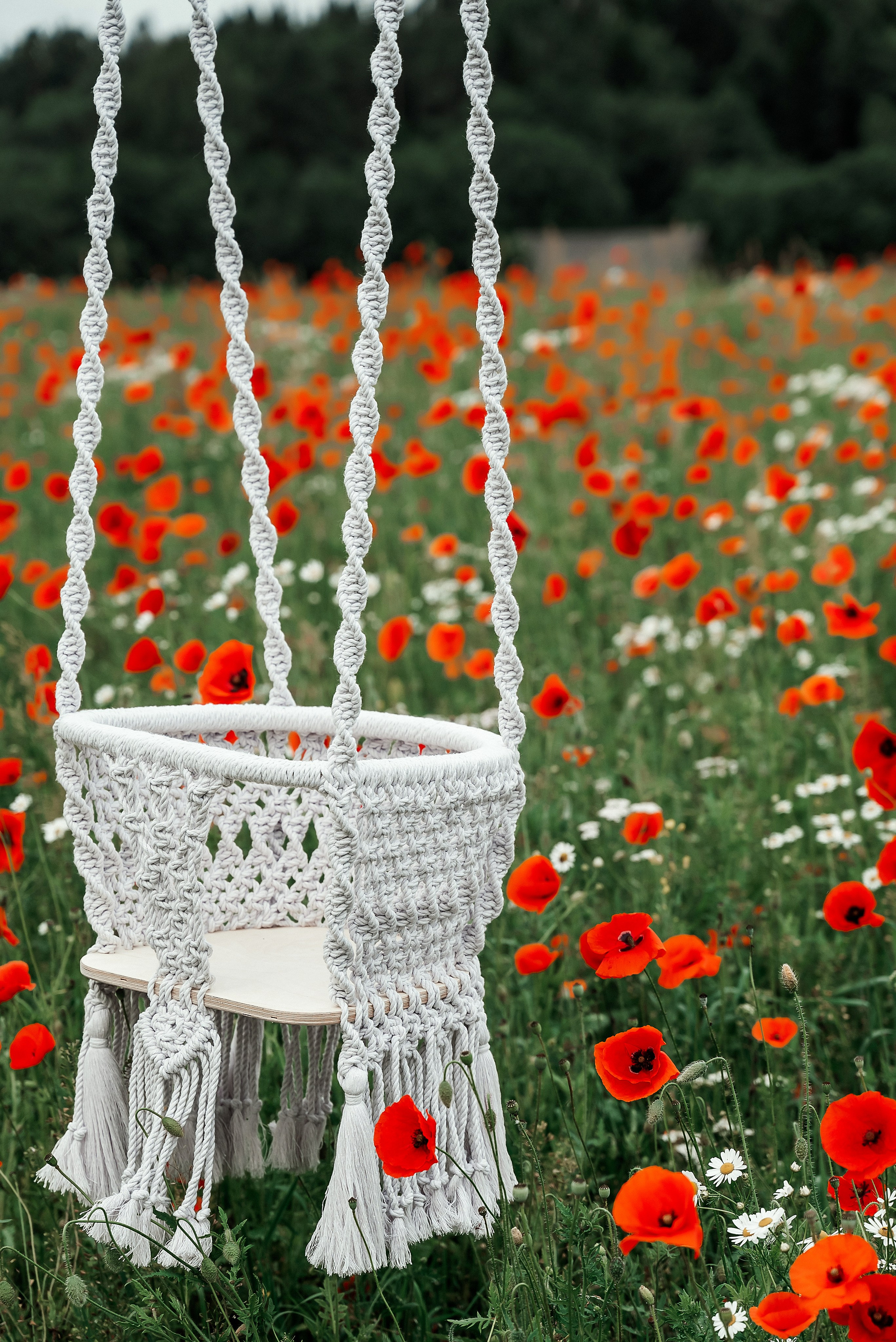 Качели. Ваш фотограф в Латгалии — Александра Юхневича!