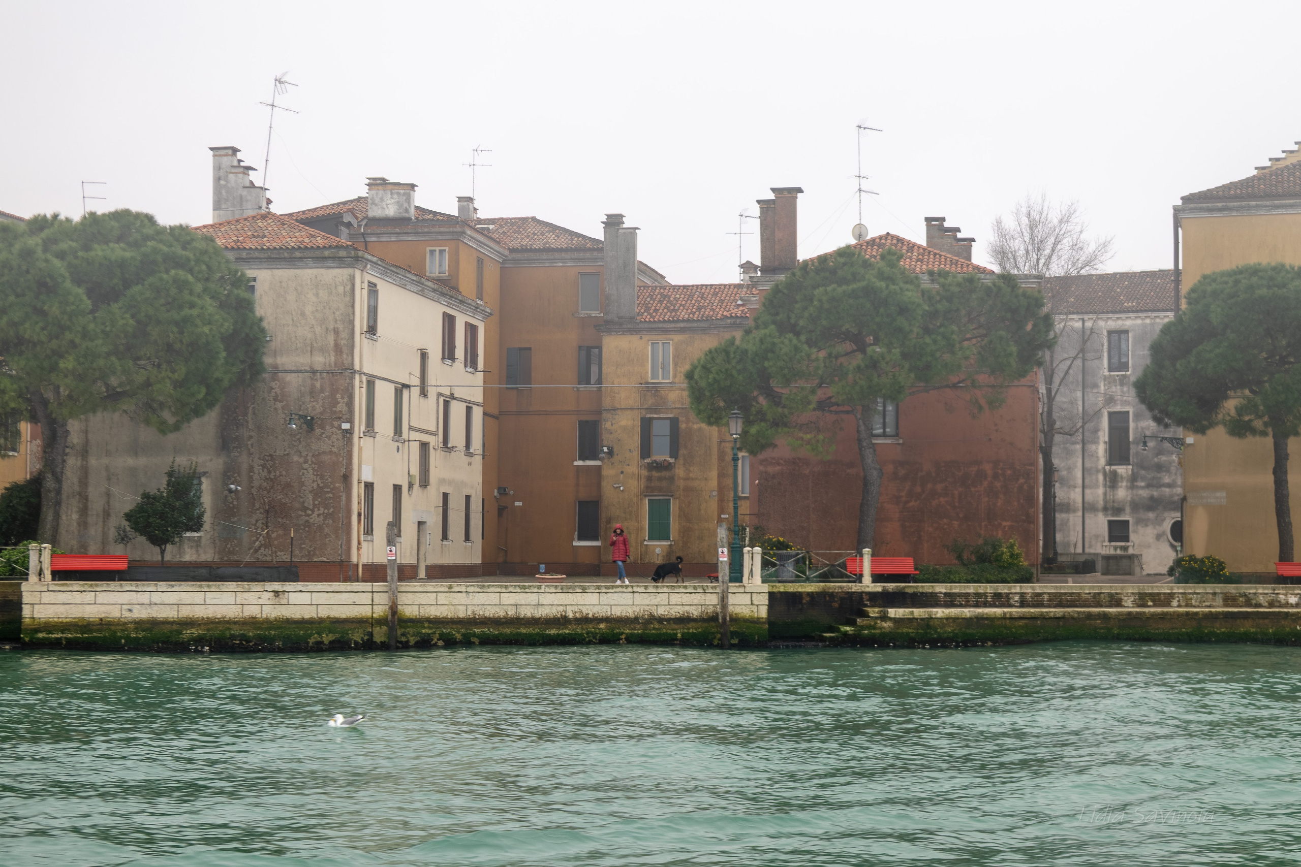 Veneția. Fotograf. Lucrez cu oameni, produse și spații. Portret și fotografie creativă. Bacău, România. Lidia Savinoiu