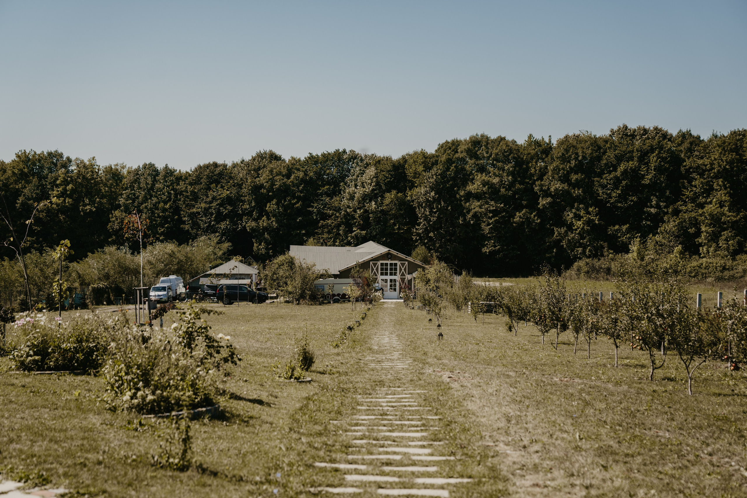 Bianca | Andrei. Gabrielacojocariu.com