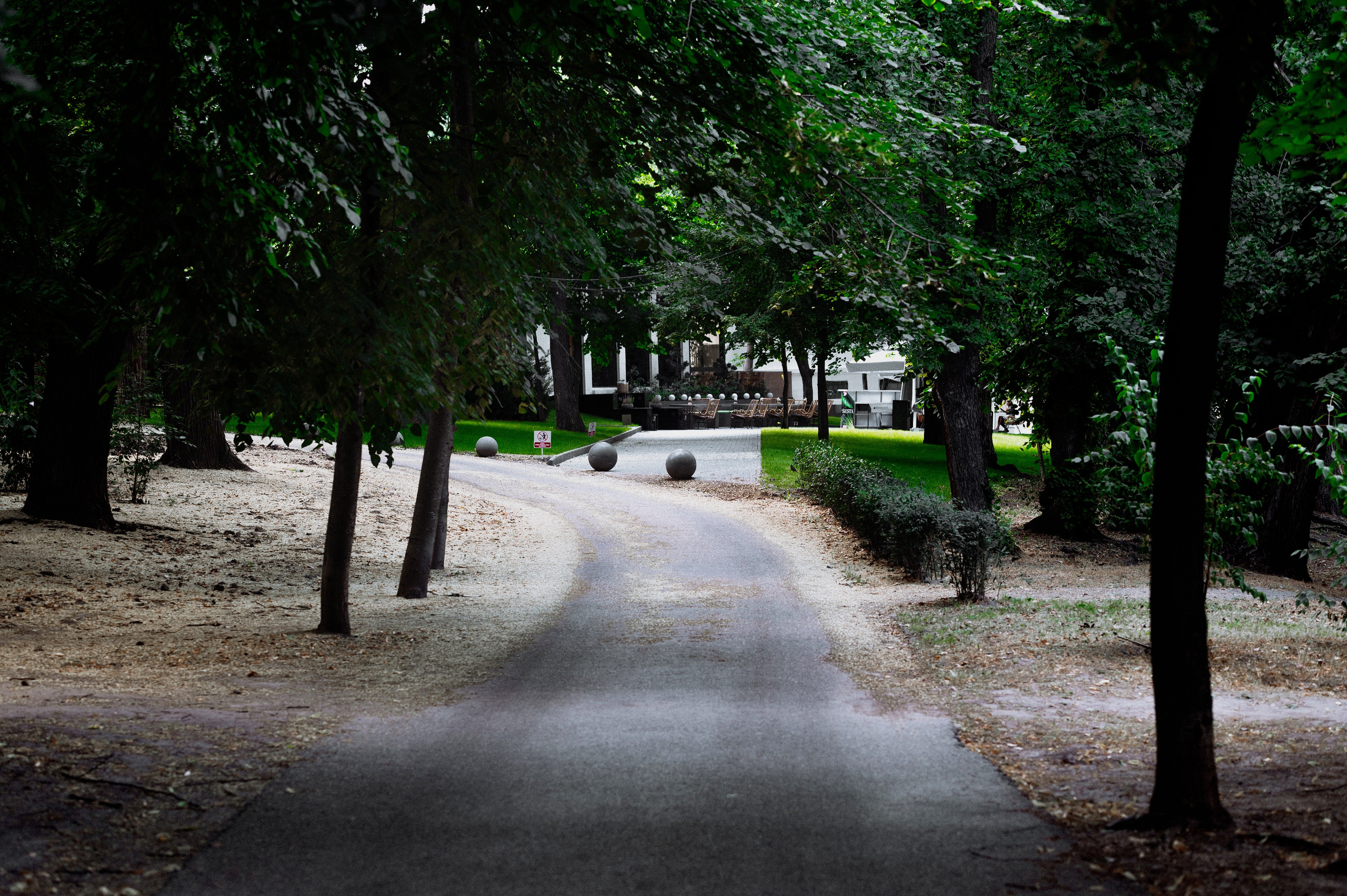 Daria & Yiurii Odessa. Wedding photographer from Moldova Alexey Chipchiu