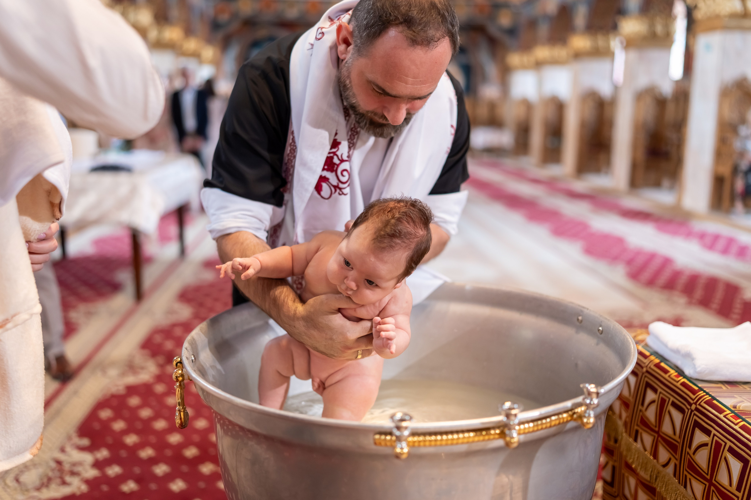 ✨ Portofoliu Botez ✨. Murgeanulucian