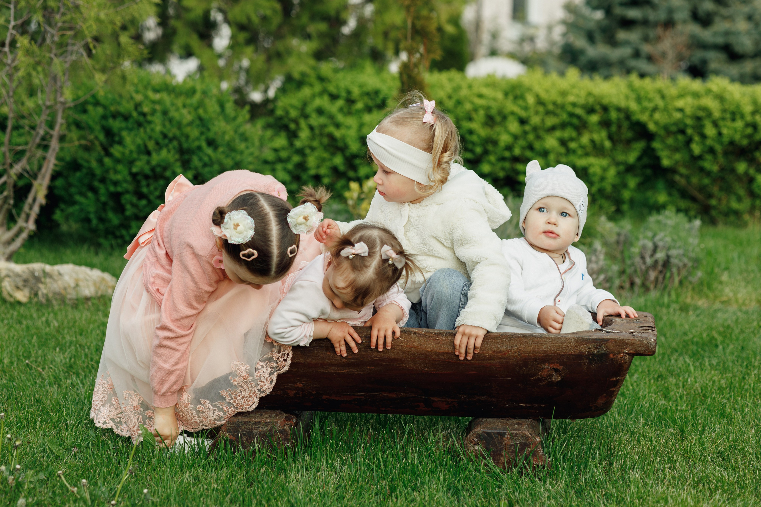 Familia Anton. Fotograful evenimentului tău