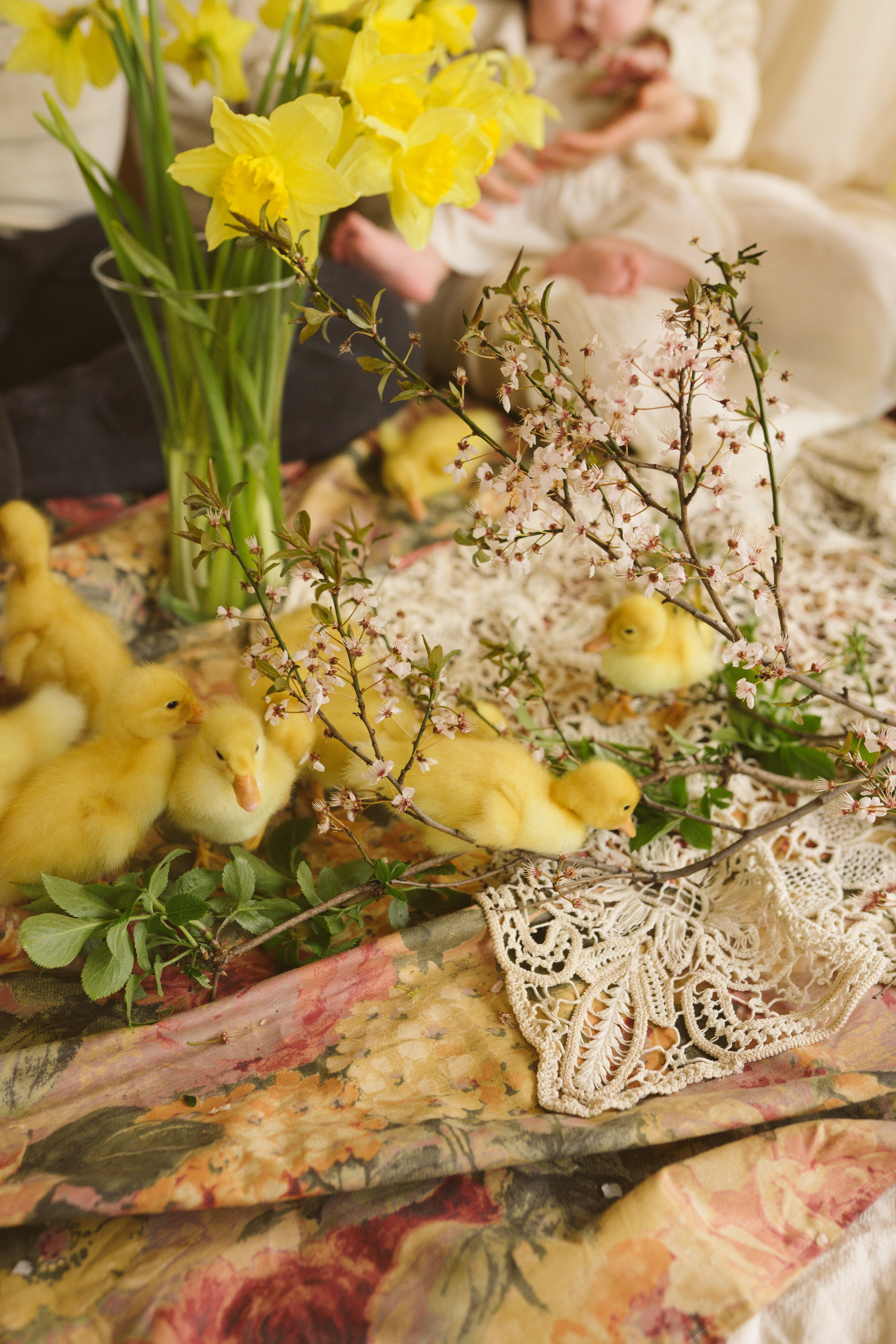 Ședințe Foto de Paște Brașov: Gălbenuș | Mădălina Beda. Madalina Beda- Artist vizual, fotograf, doula la nastere, consultant babywearing Brasov si in toata tara