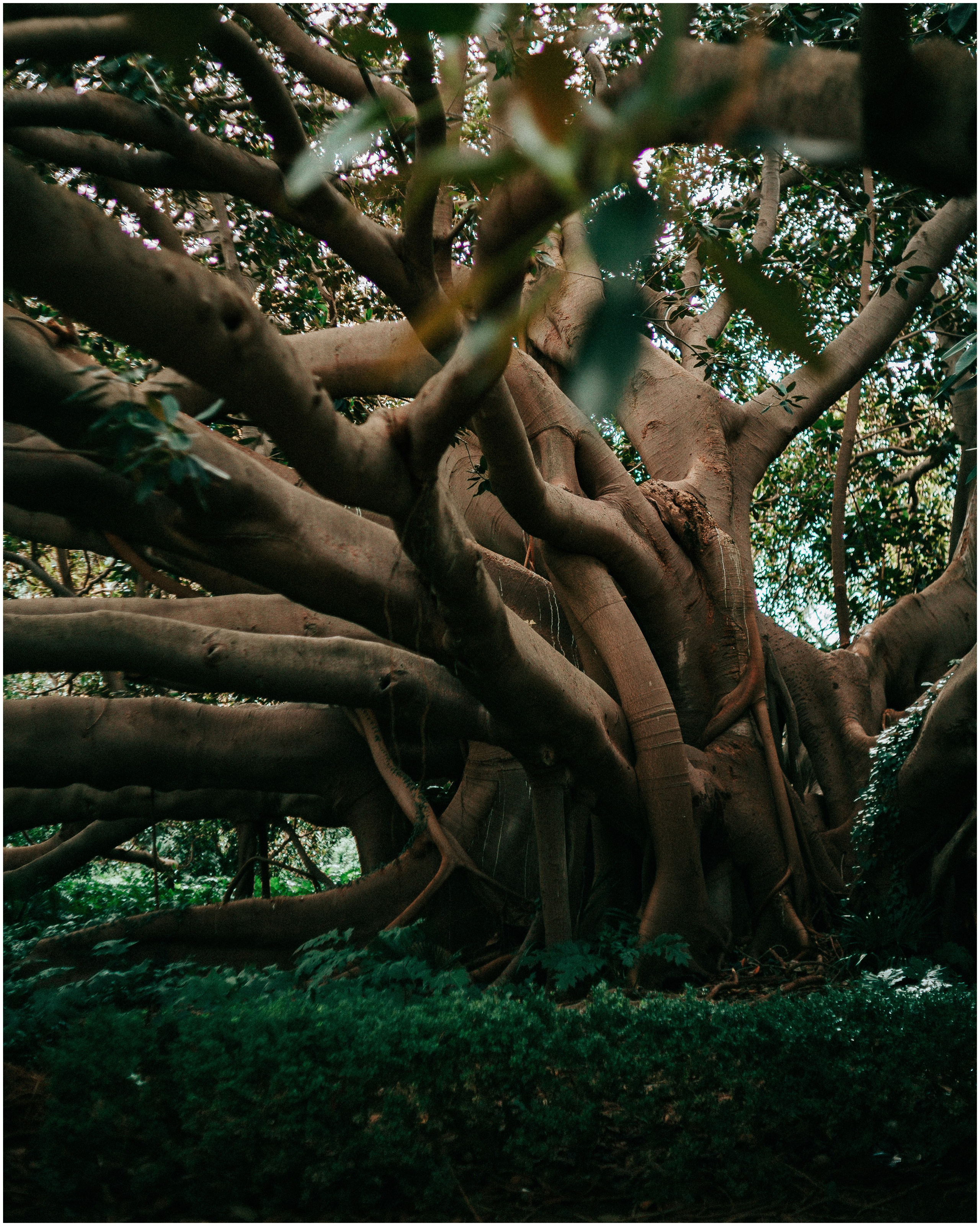 PALERMO. Photographer Inna Mendelson