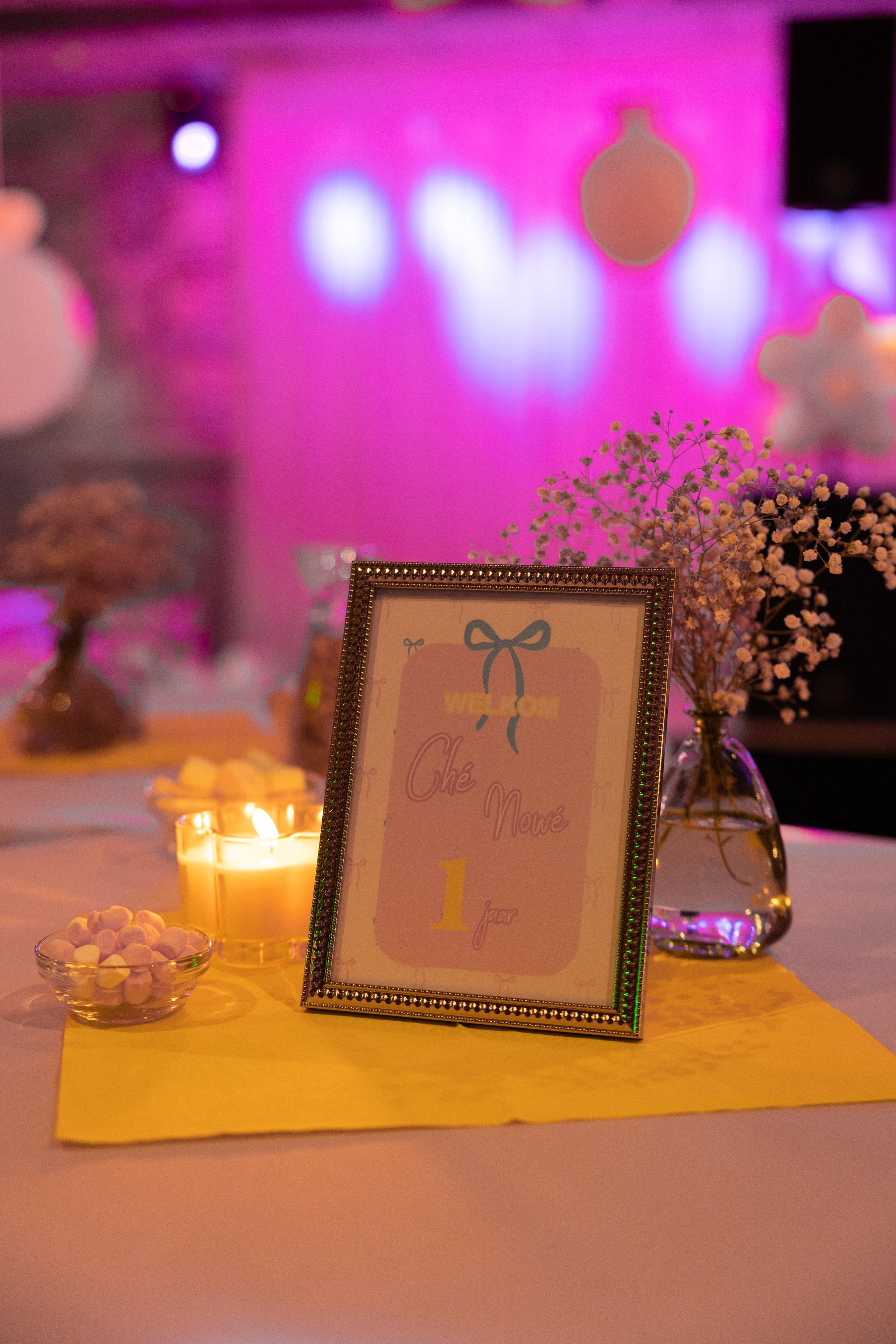 1 st Birthday. Portrait and Family Photographer in Netherlands