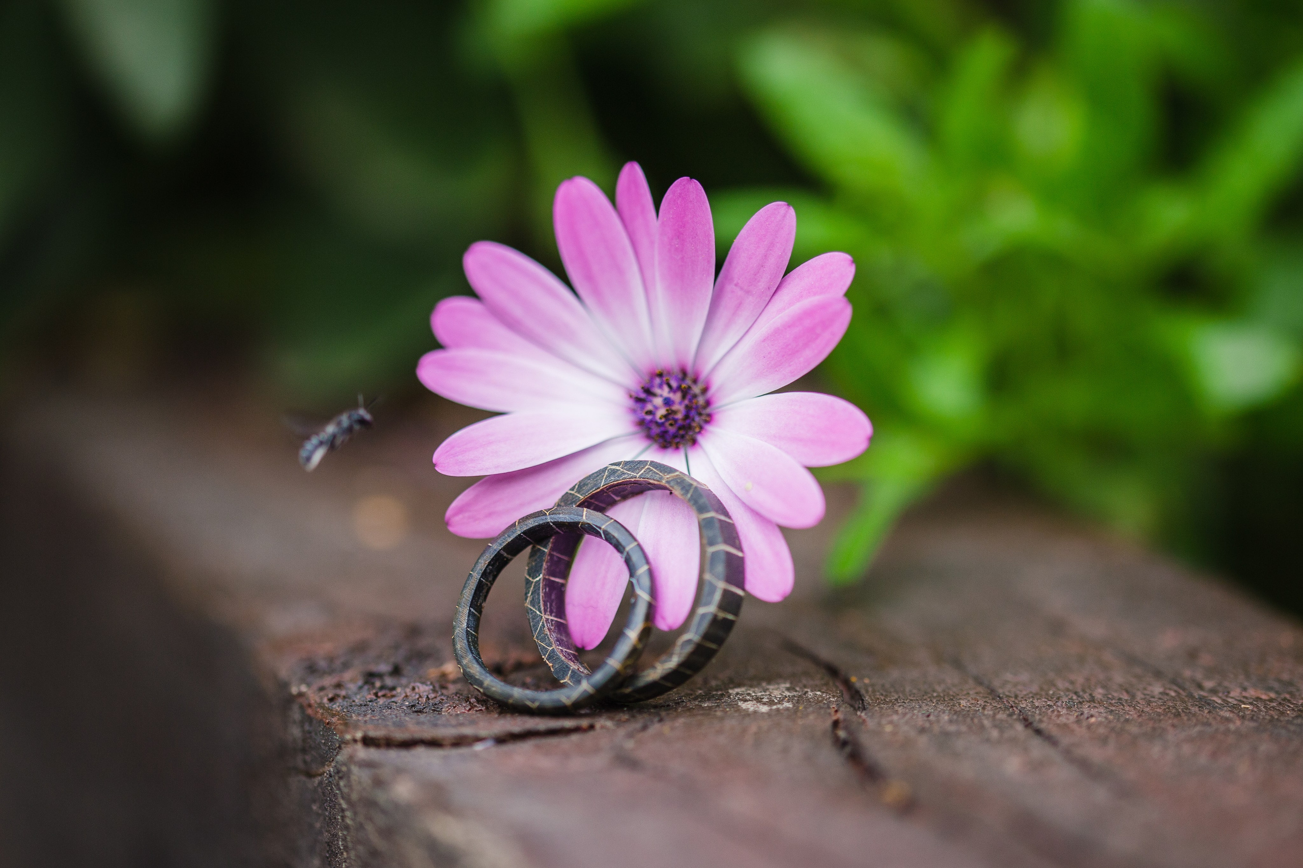 CARMEN Y ADRIÁN. Rainbox Estudio de Fotografía