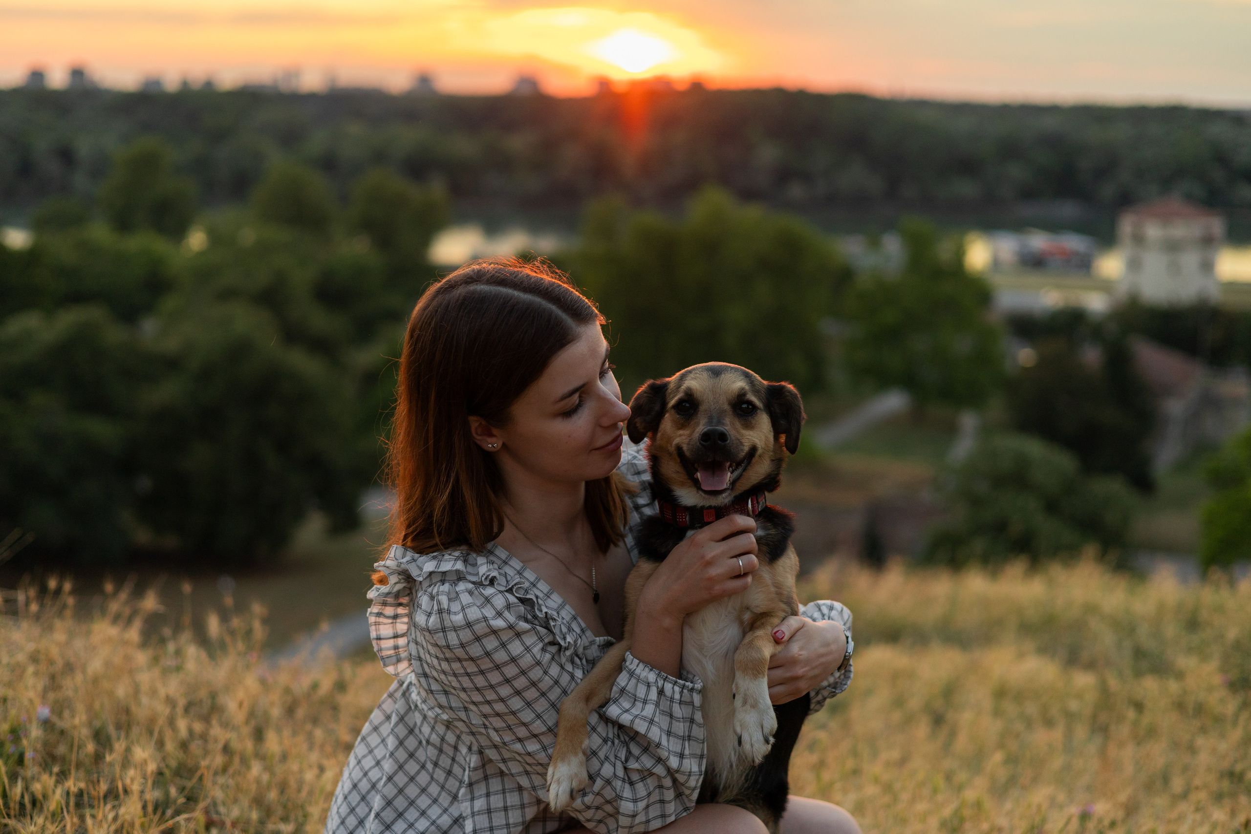 Настя, Денис и Мося. Фотограф-анималист | Белград