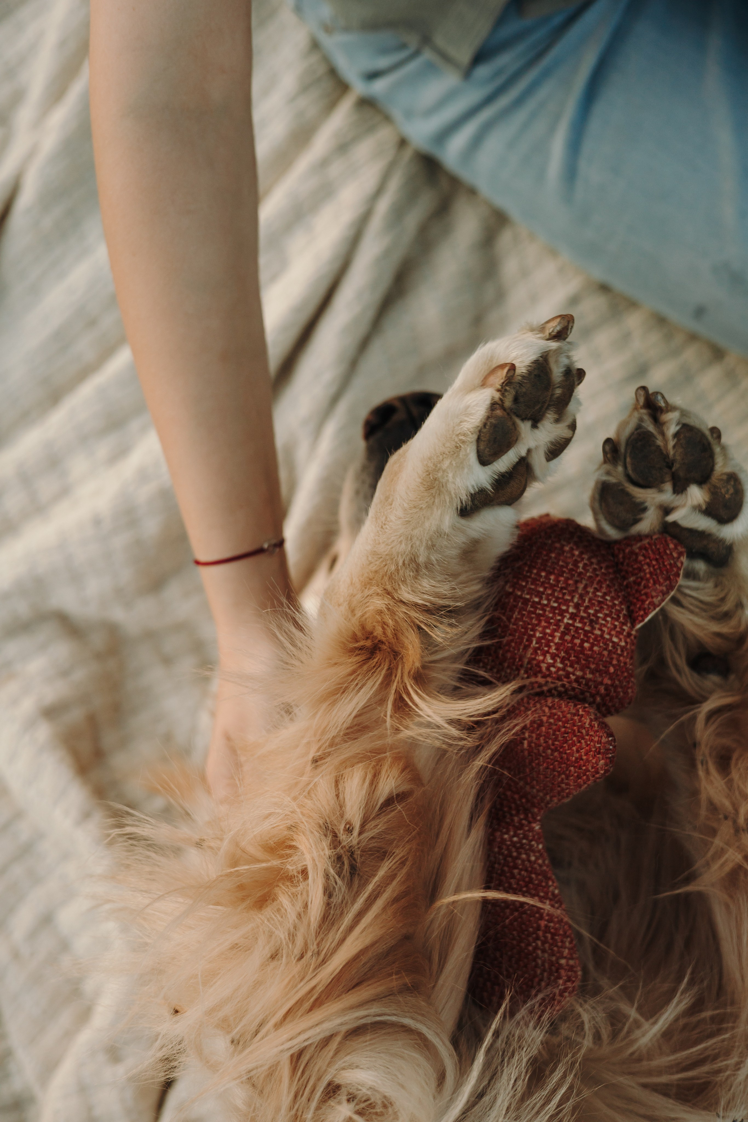 Катя и Бро. Фотограф-анималист | Белград