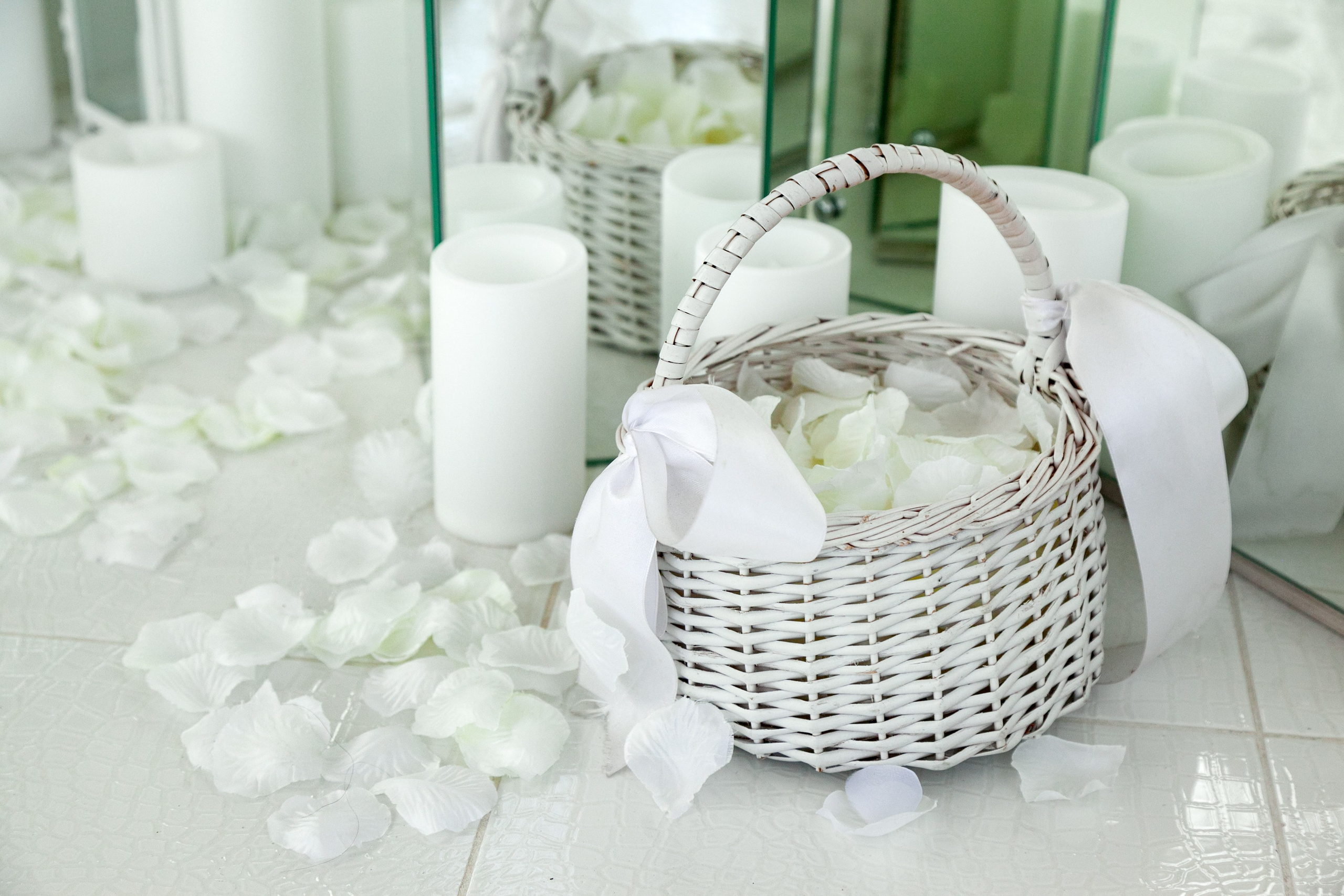 Botanical garden / Adrian & Diana. Wedding, event and family photographer in Paris, Emilian Olaru