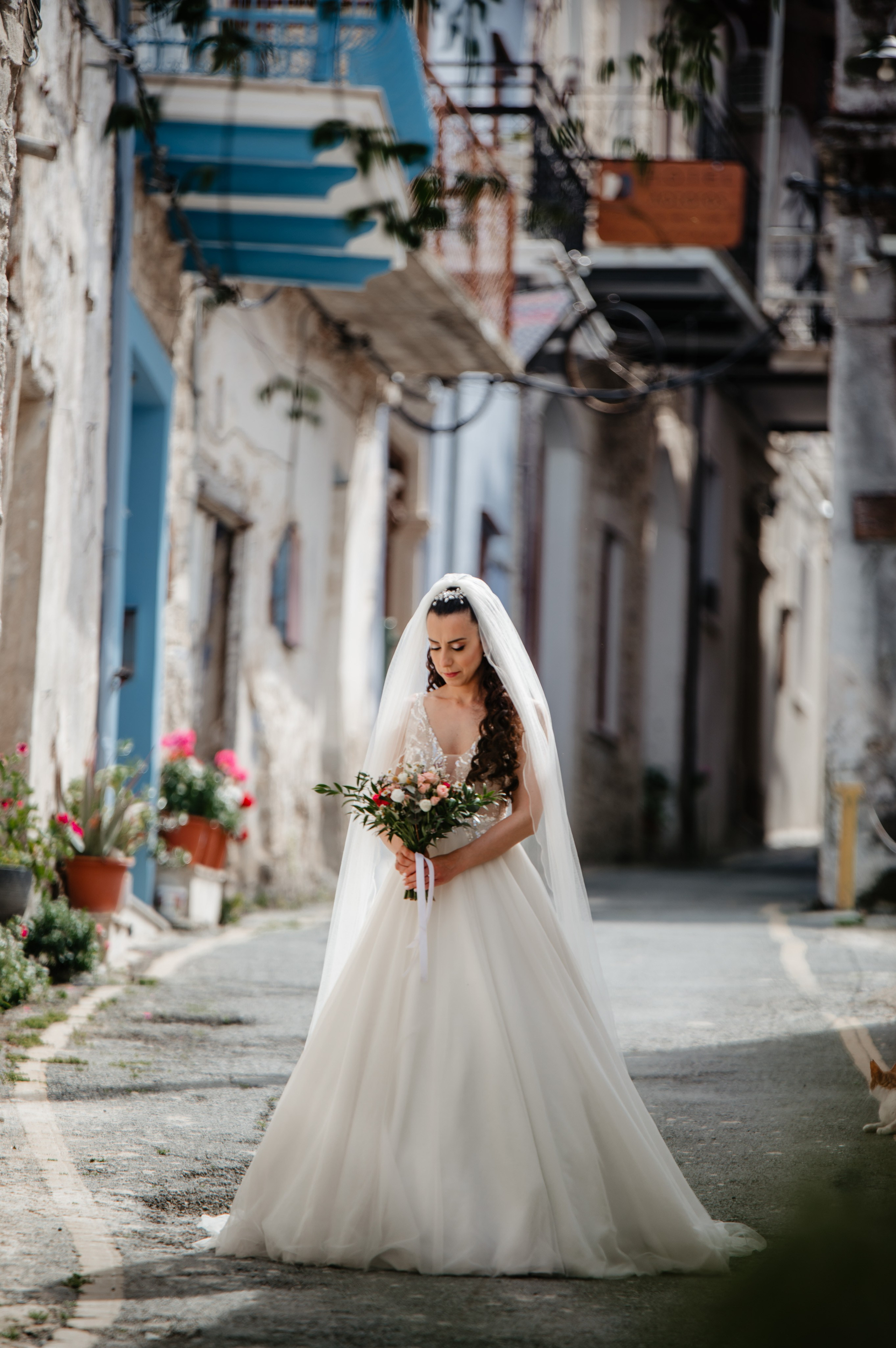 AfterDay Y & E. AdrianOltean.wfolio.pro