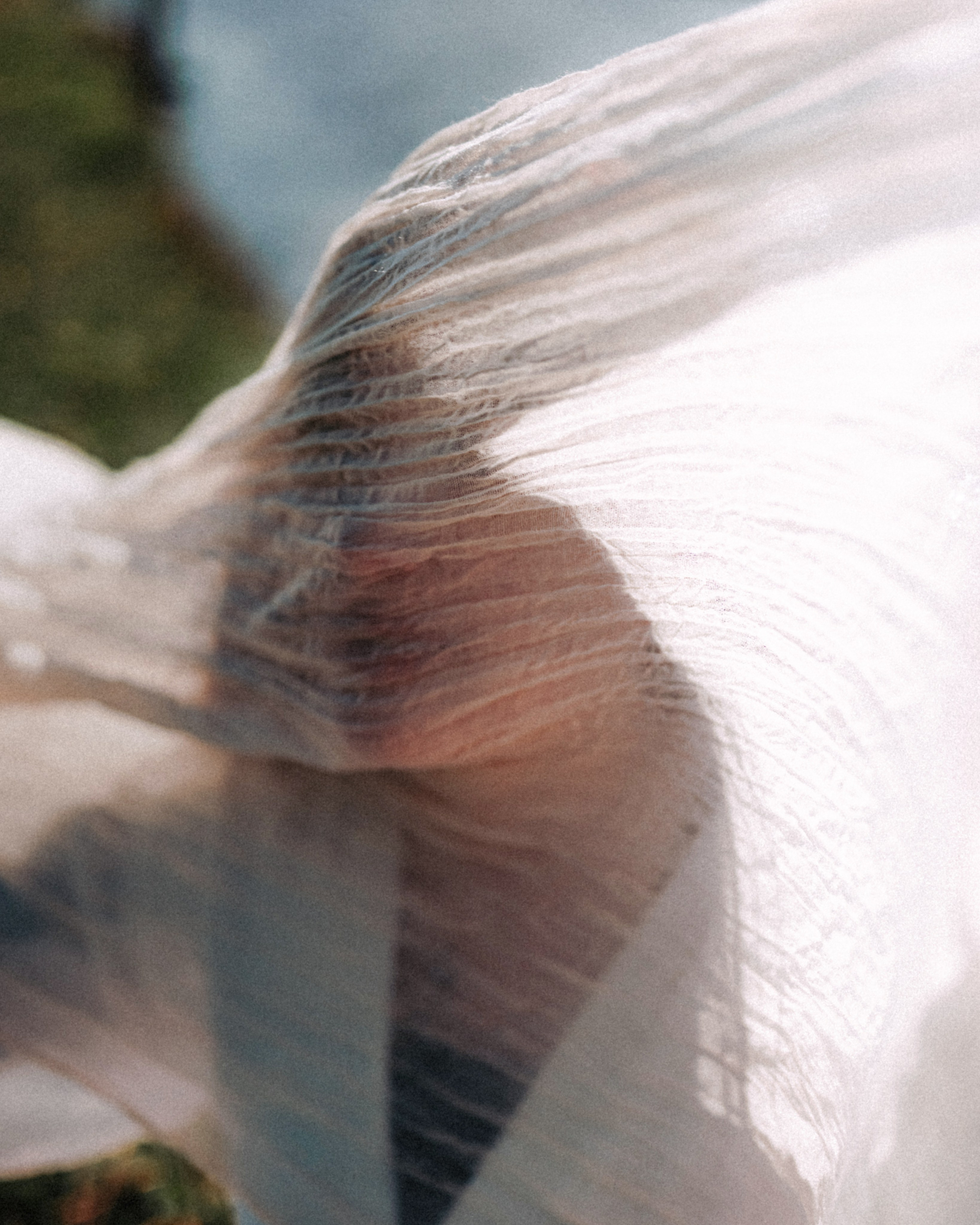 Outdoor Photoshoot with Windmills. Moth & Moss Photography