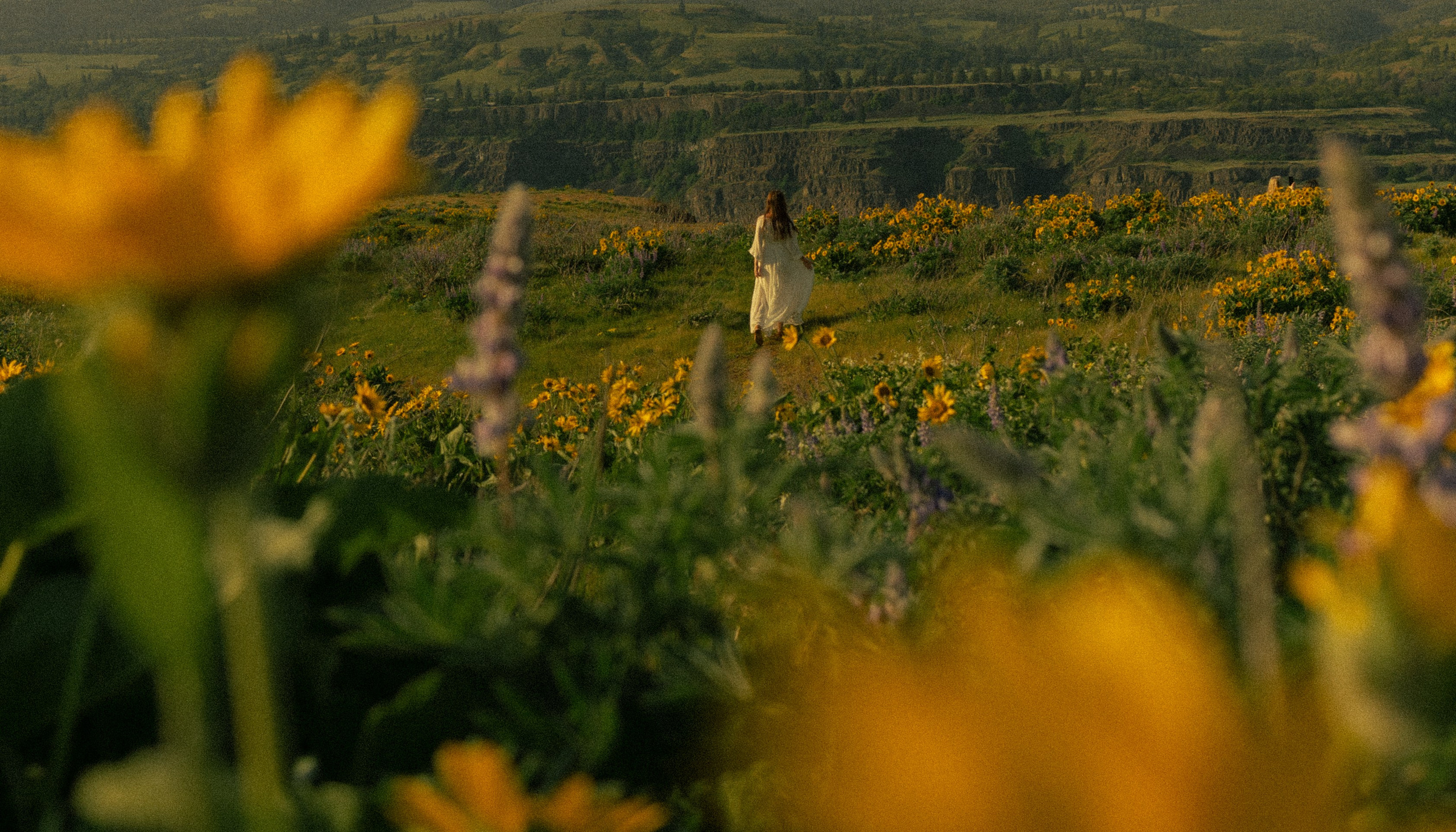 Soft light. Cinematic Photographer Oregon — Washington