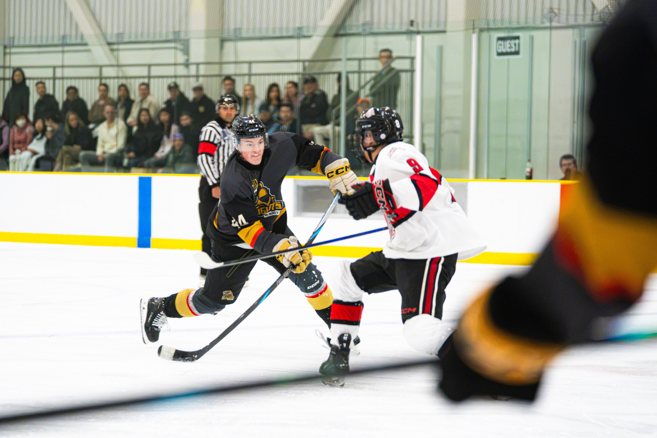 Hockey. Shuttergry Photography Focus on Sports and Portrait in Tri-Cities B.C