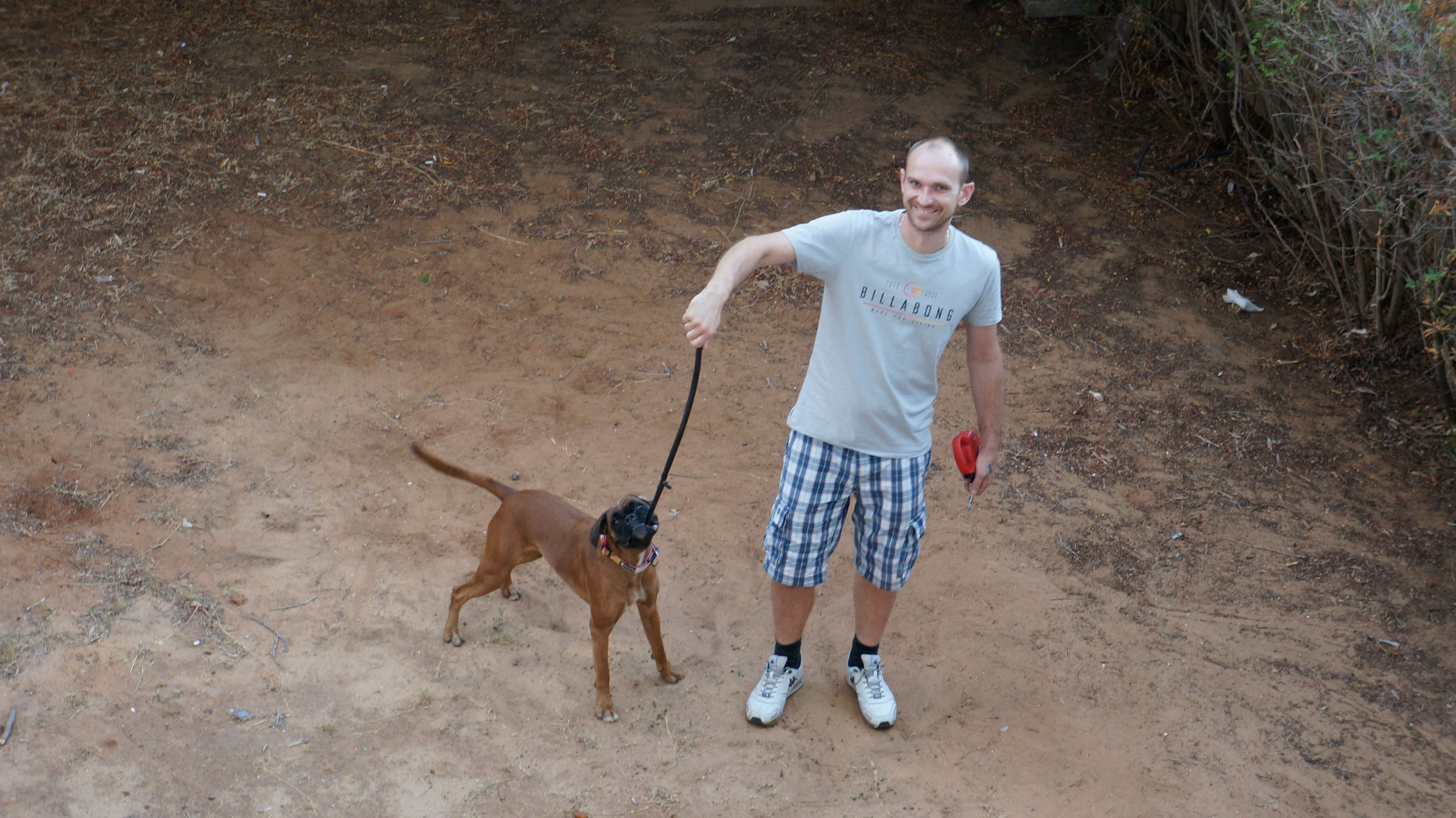 My ״Star״ Boxer Dog