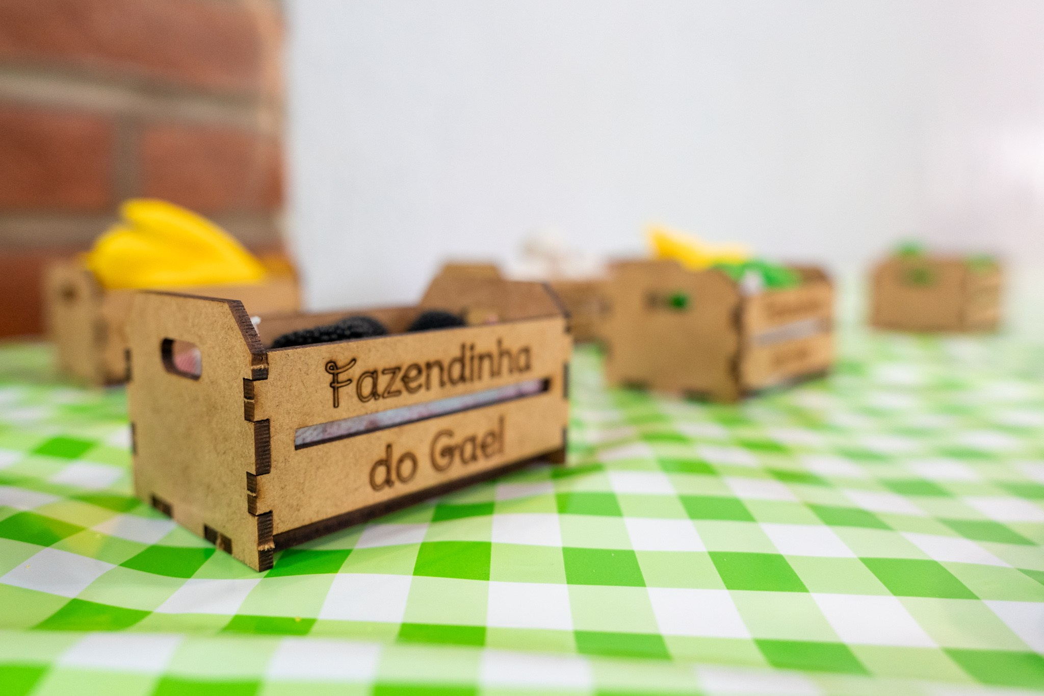 Gael 1 ano — 21/12/2024. Luiz Medeiros Produções