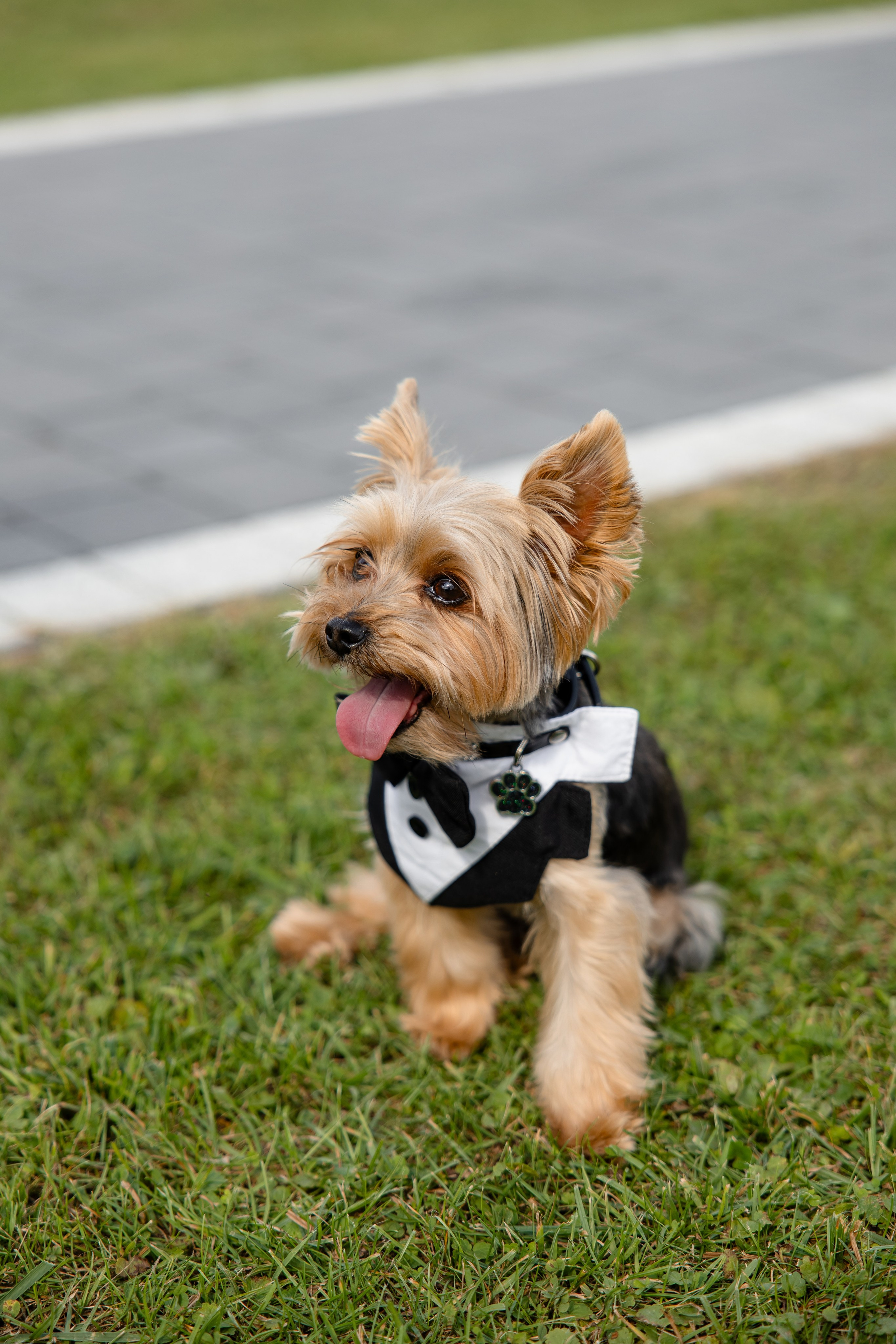 Артур + Анастасія. Весільний, сімейний фотограф Варшава