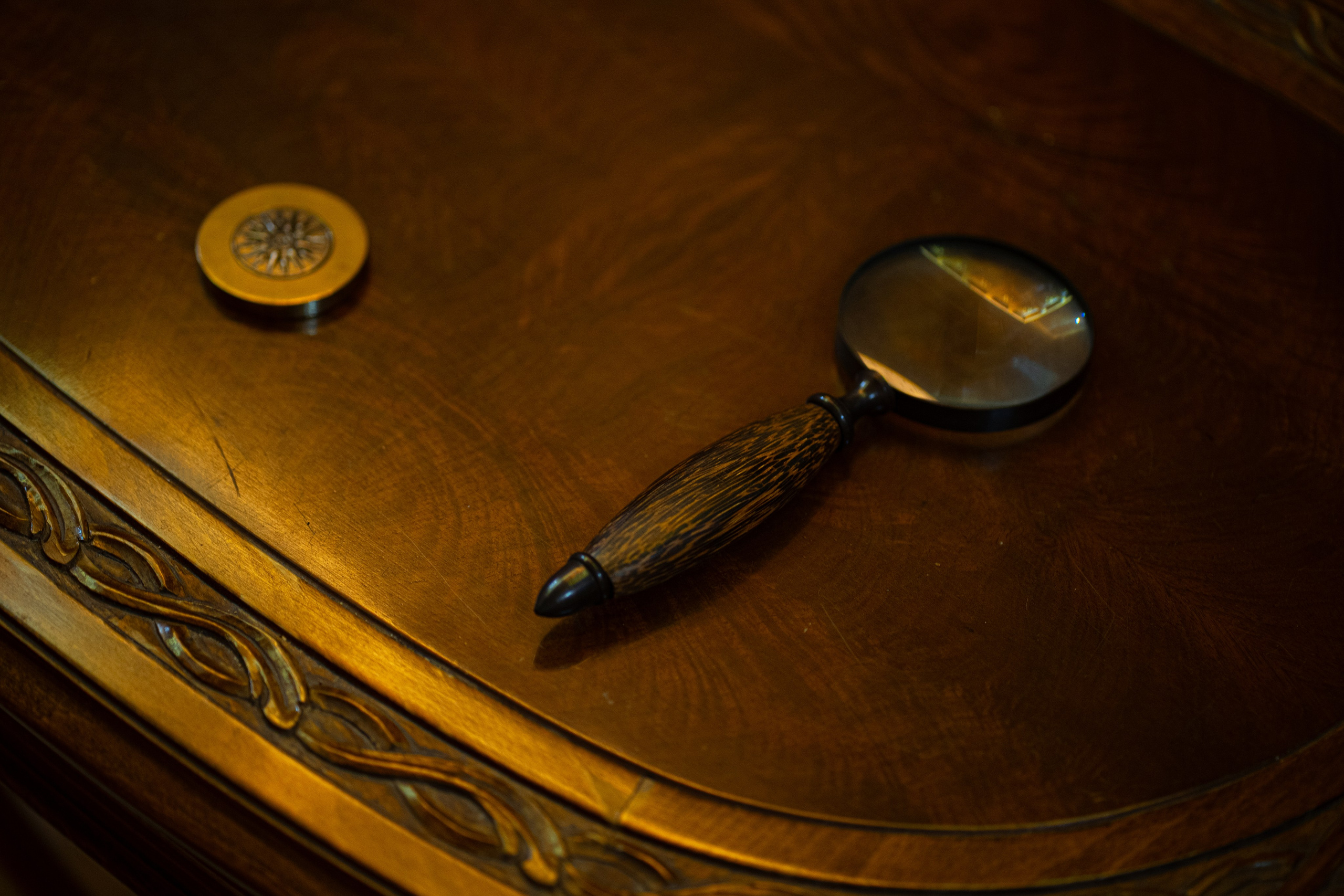 REAL ESTATE. Baby Beast