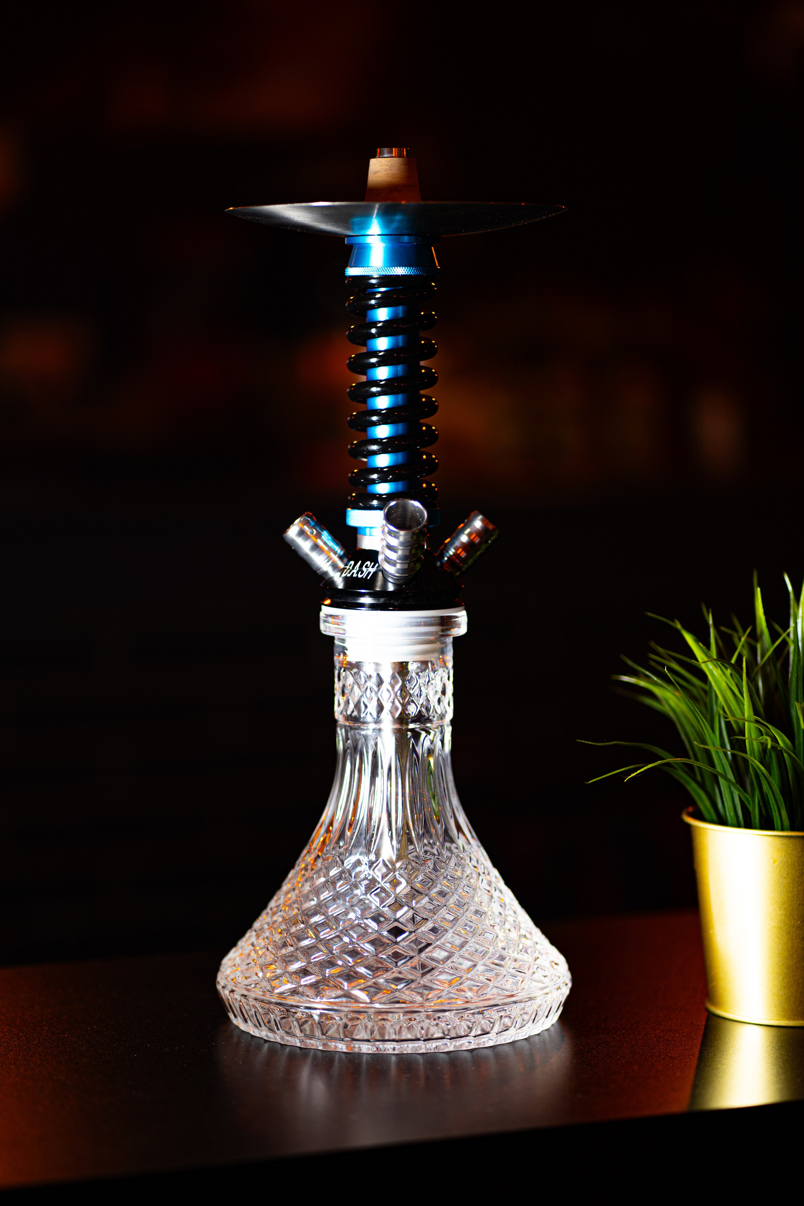 Cachimbas. Baby Beast