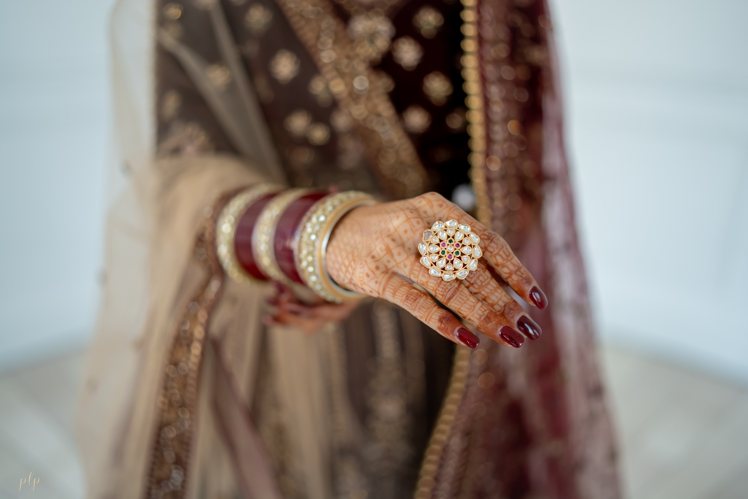 Kashish & Andrew. Wedding Photographers and Filmmakers