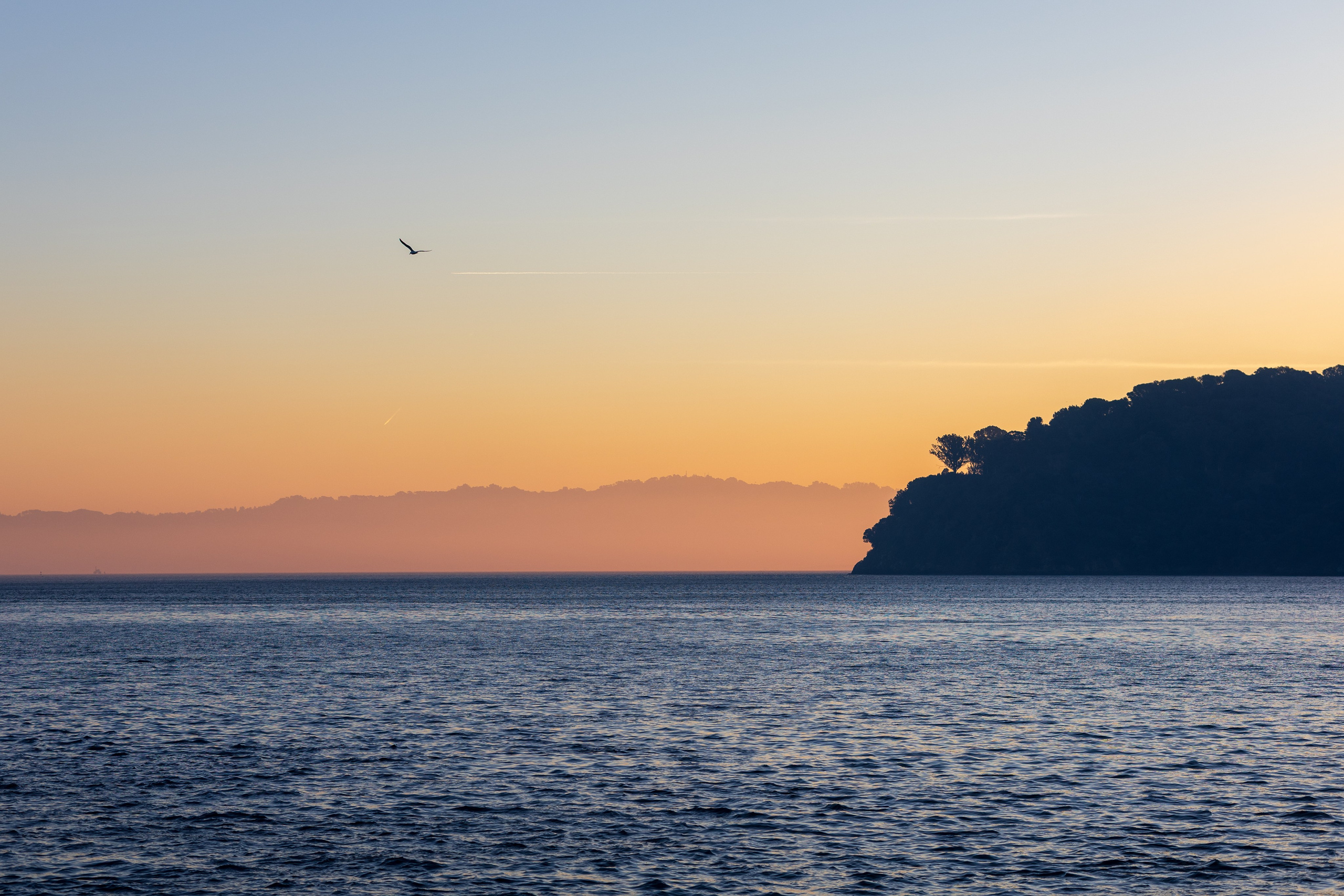 San Francisco. Aleks.photo | Book a photoshoot