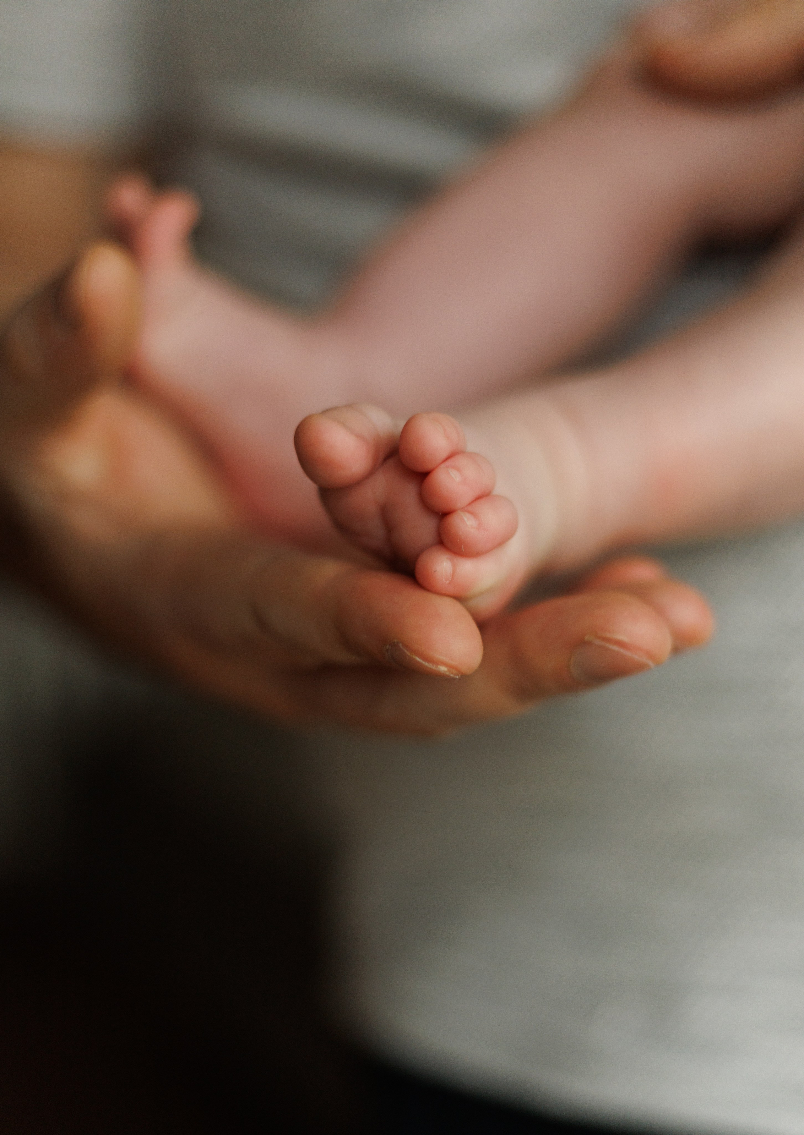 LĪVAS ģimene. GALVENĀ