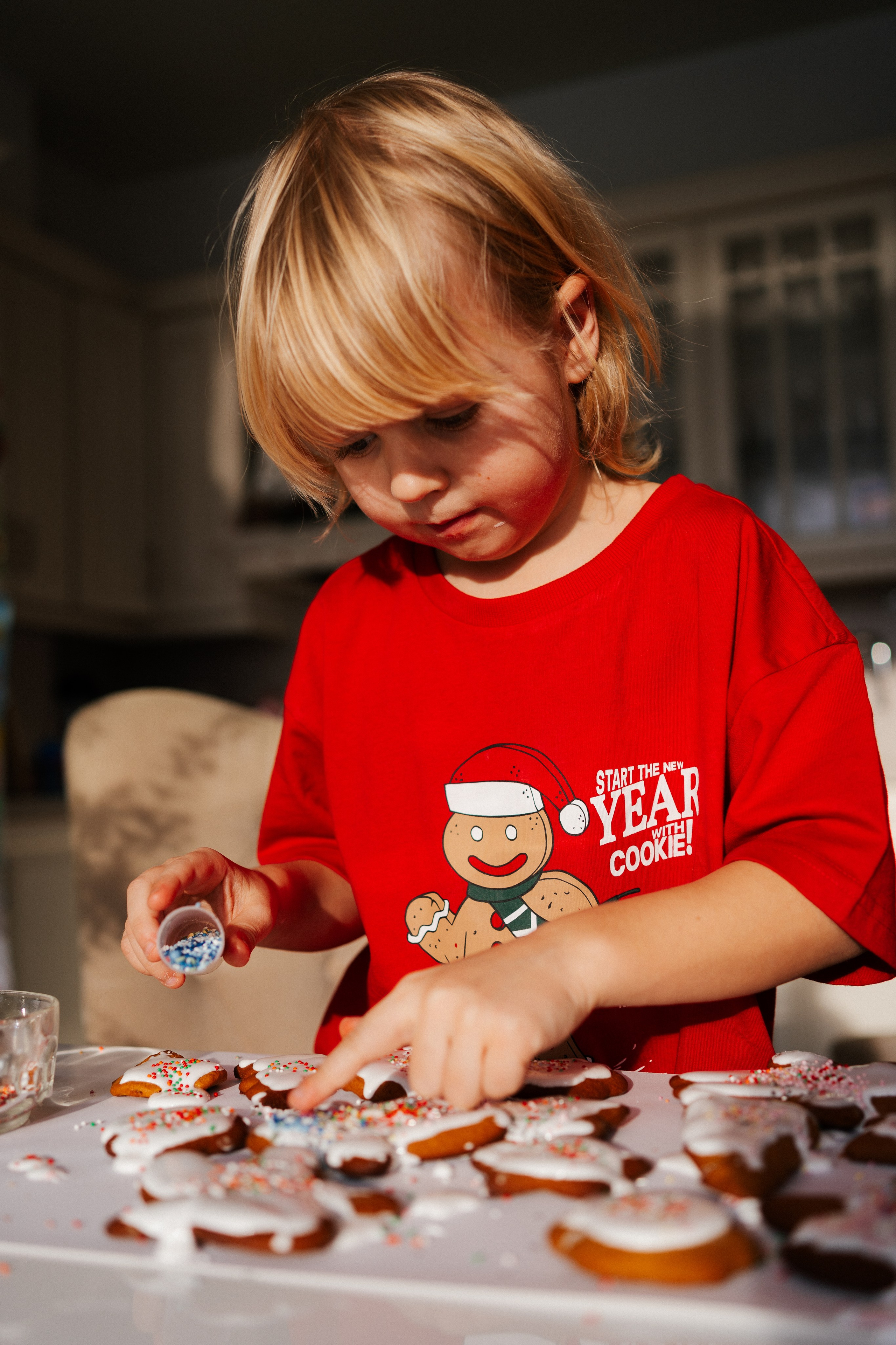 CHRISTMAS FAMILY. PHOTOGRAPHER|VIDEOGRAPHER MONTENEGRO