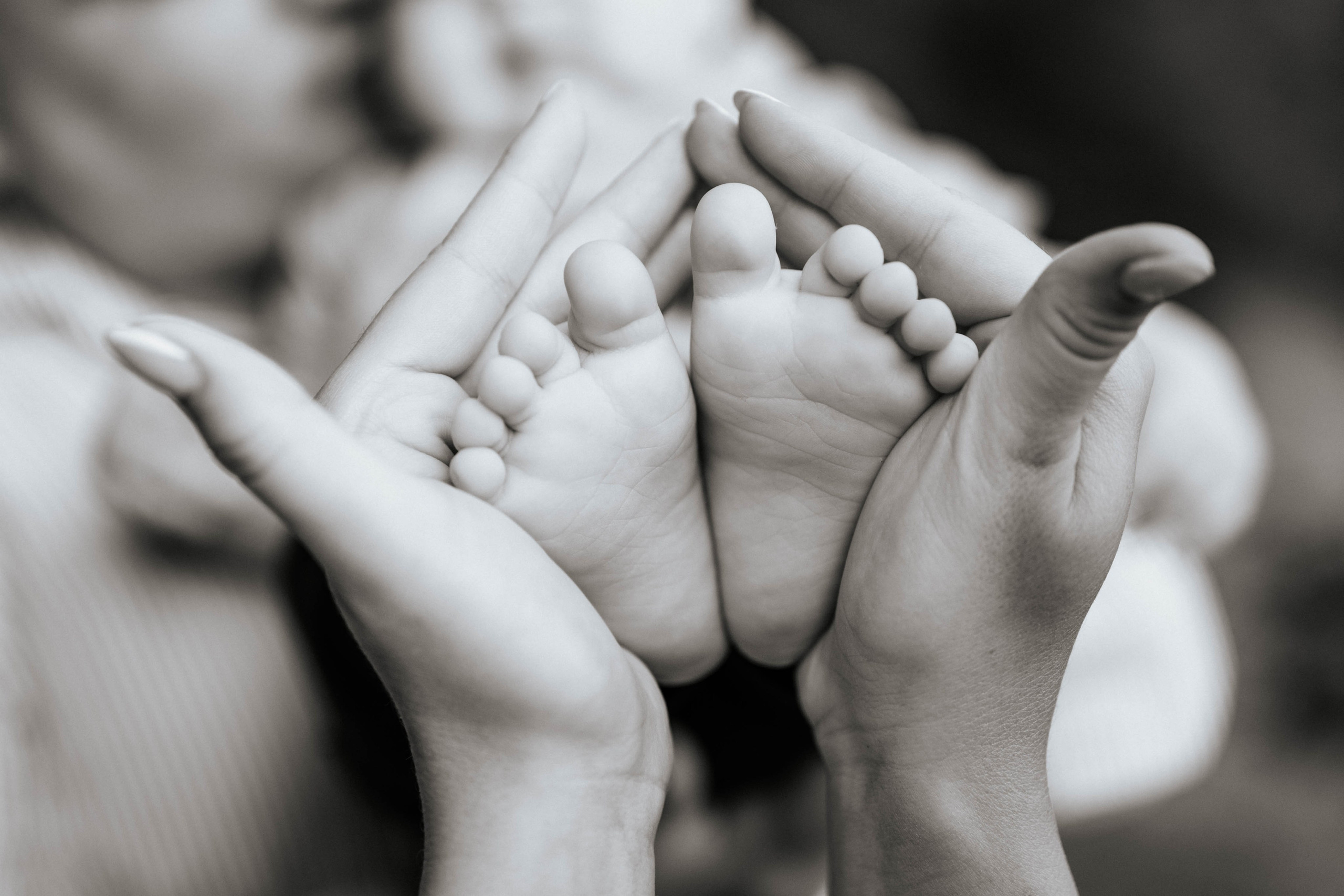 Stevan - porodično fotografisanje. Dečiji i porodični fotograf