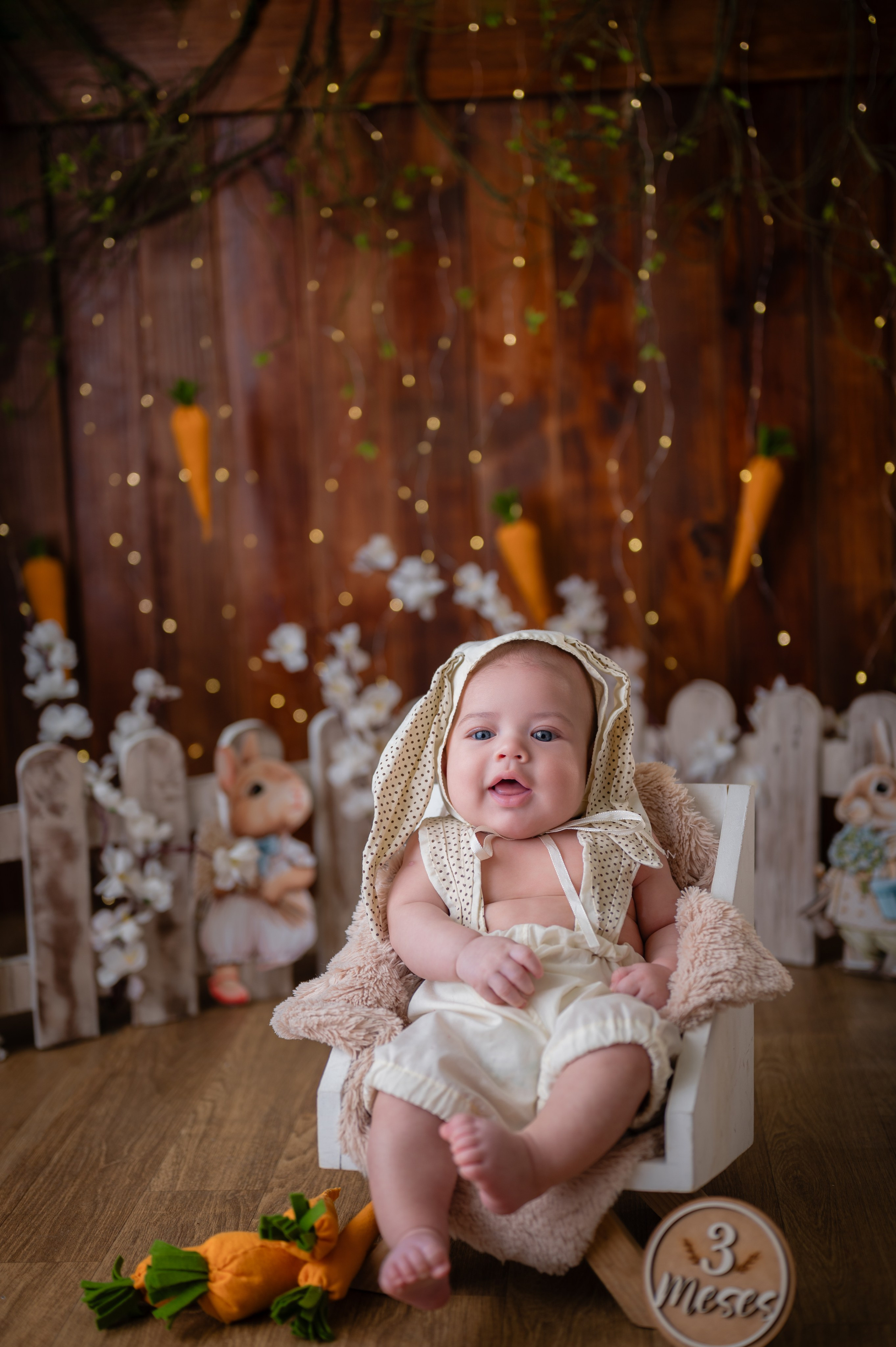 Acompanhamentos. Fotografamos famílias, gestantes, bebês e ensaios individuais