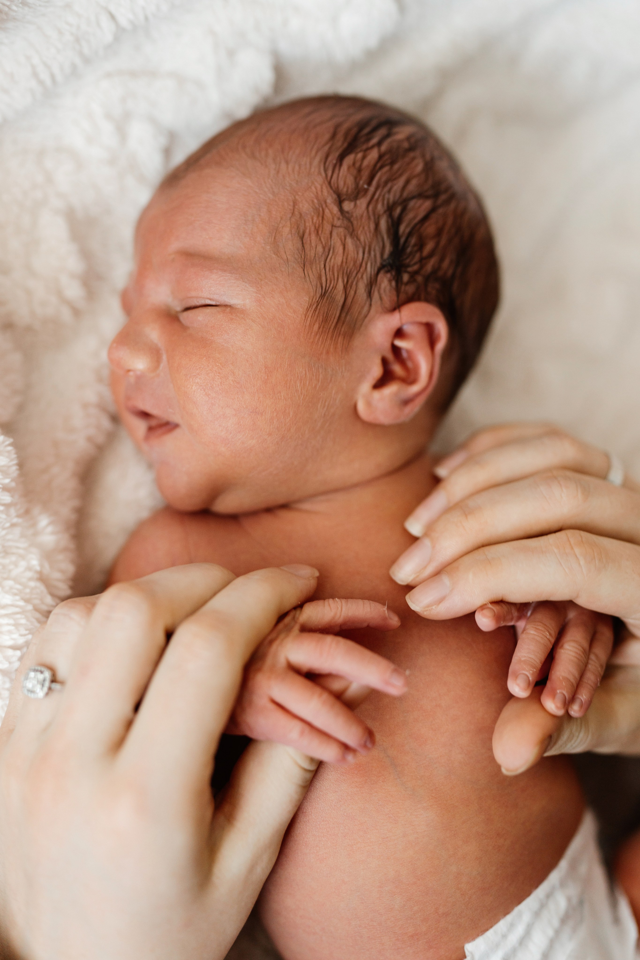 Vaniușa | primele zile de viață. Home